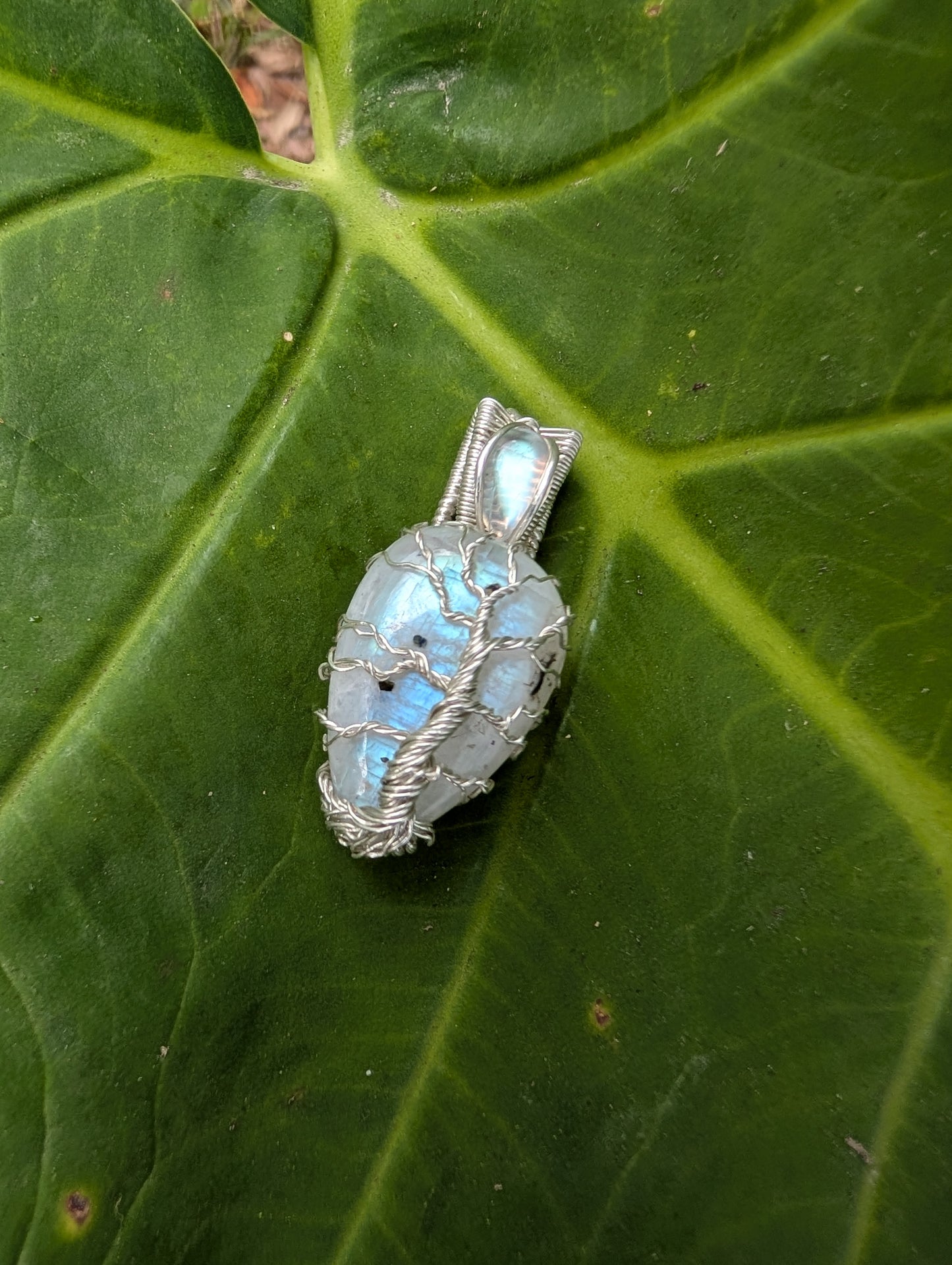Handcrafted Sterling silver wire wrapped Tree pendant. Moonstone.