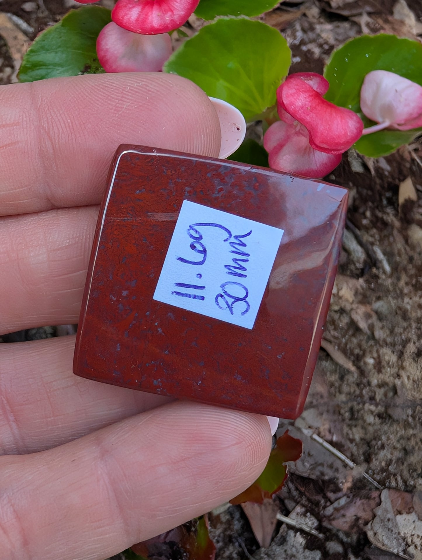 Plume agate cabochon. Square. Red 30mm