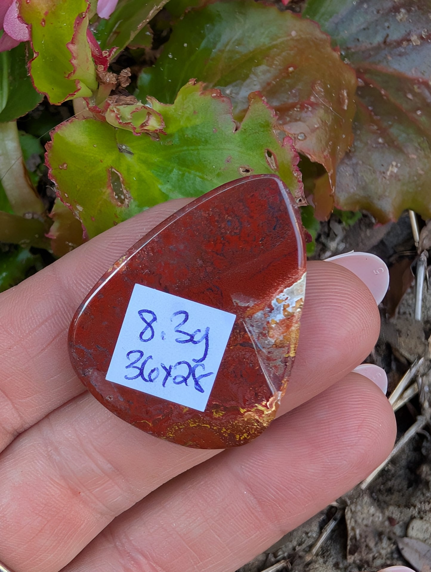 Plume agate cabochon. Tear drop . Red 36mm x 28mm