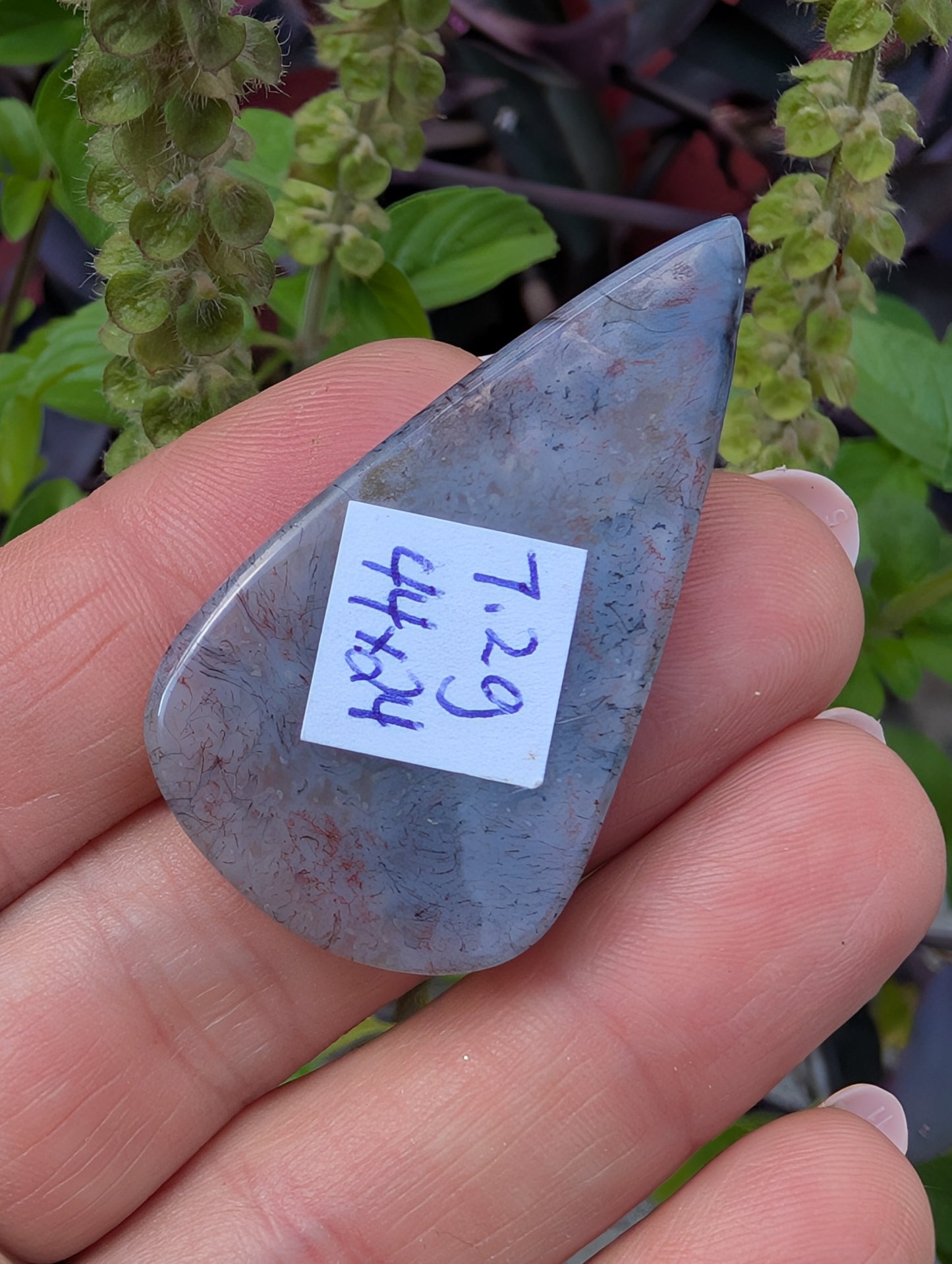 Moss agate cabochon. Tear drop . Red 44mm x 24mm
