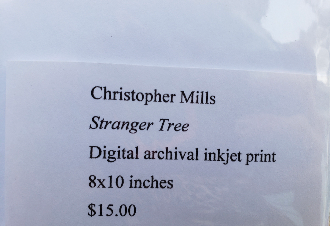 Black and white photography. Dark. Scenery. Mysterious. Forest. Print. 5x7, 8x10 matte "Stranger Tree" #6