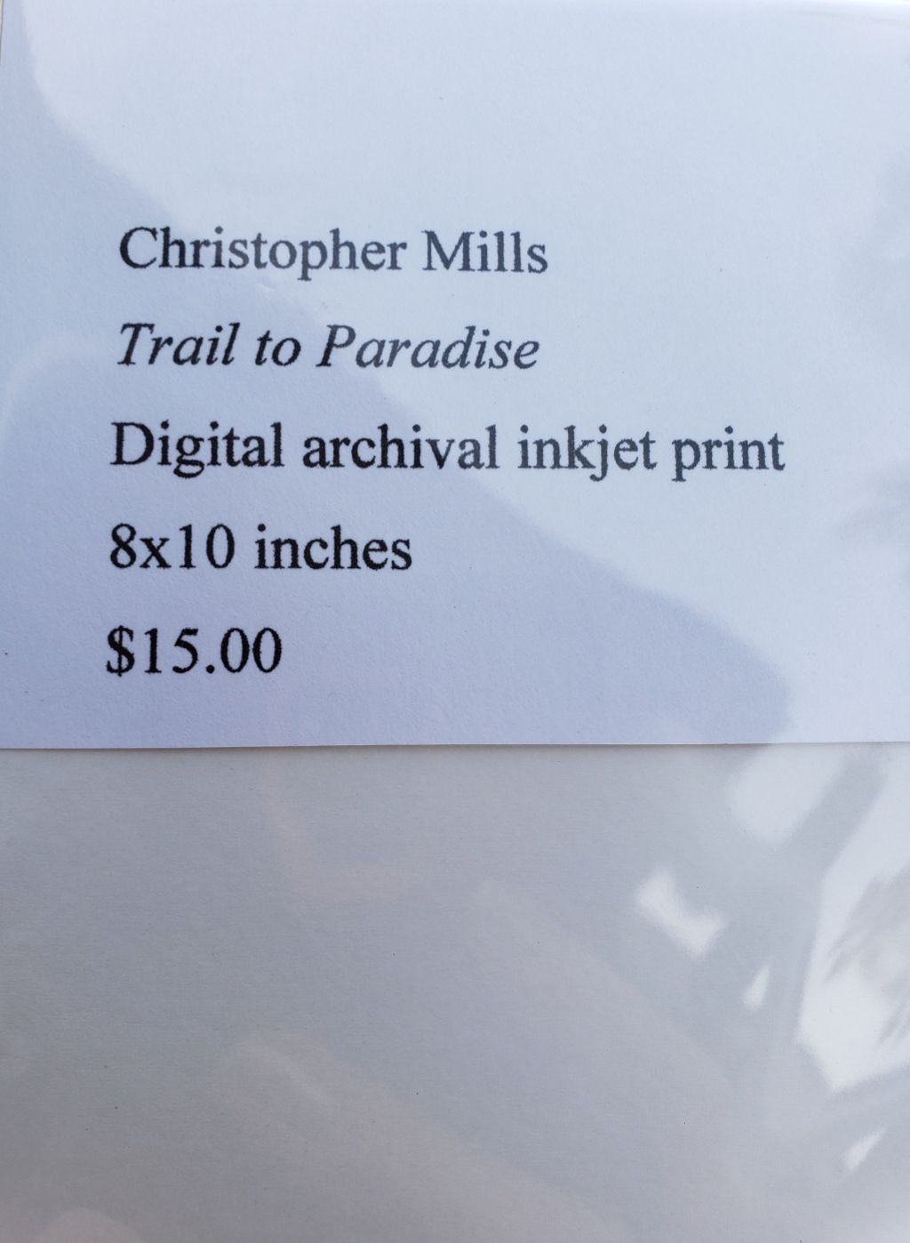 Black and white photography. Dark. Scenery. Mysterious. Forest. Print. 5x7, 8x10 matte "Trail to paradise" #7