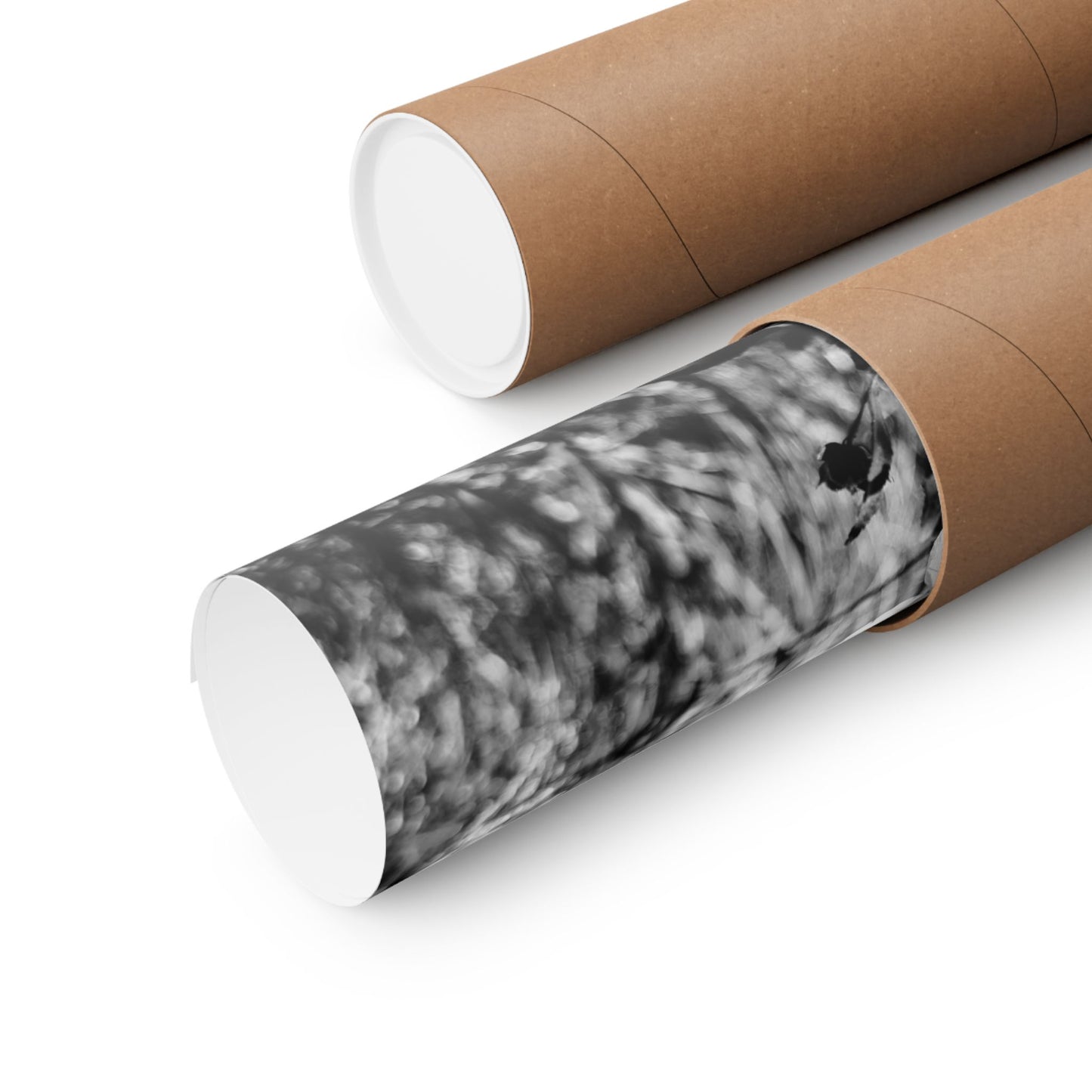 Black and White floral print