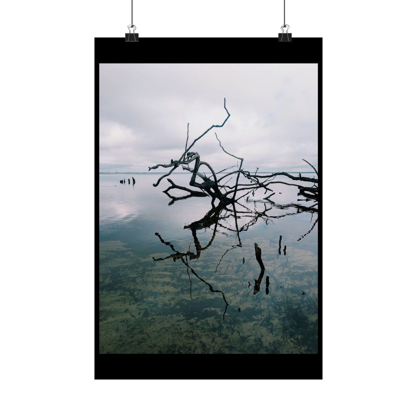 Skeleton branches