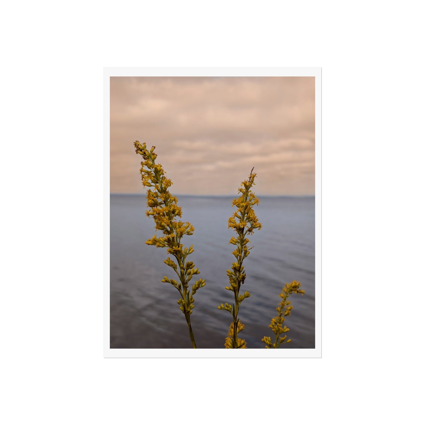 Flowers over the sea print matte finish