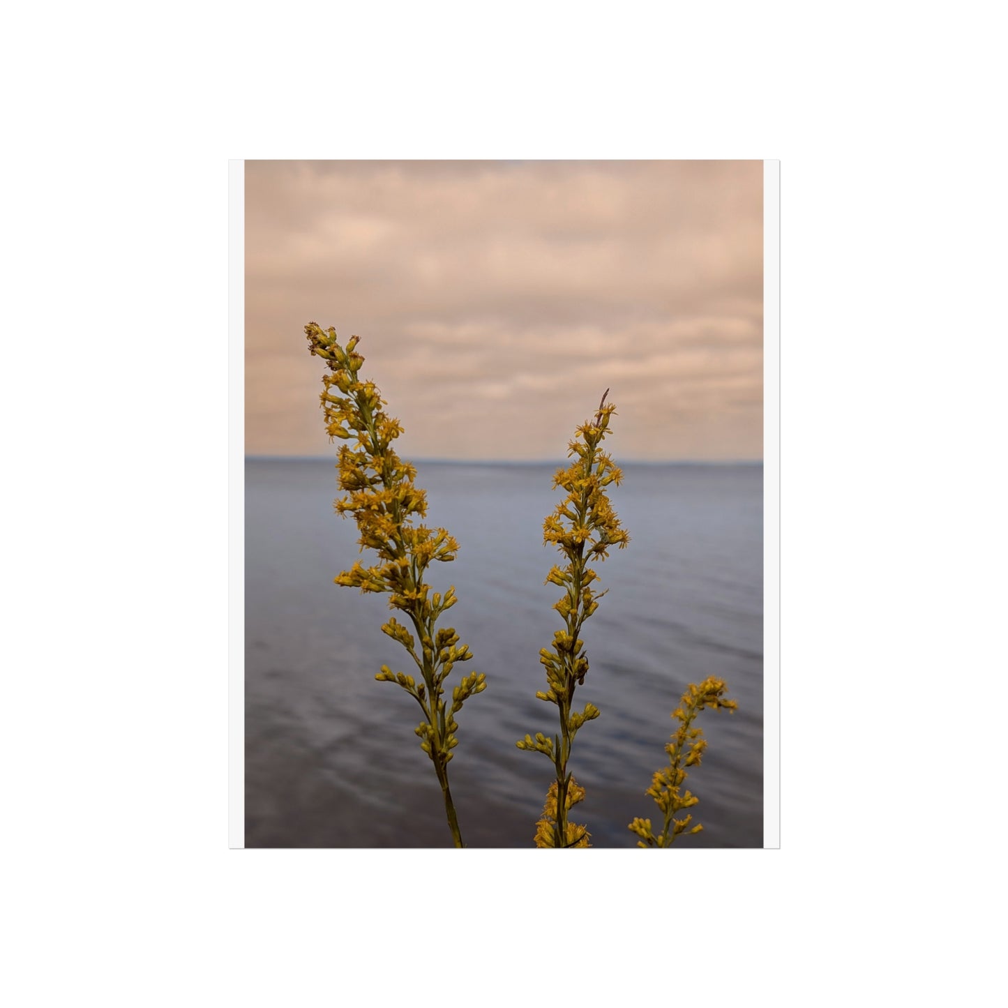 Flowers over the sea print matte finish