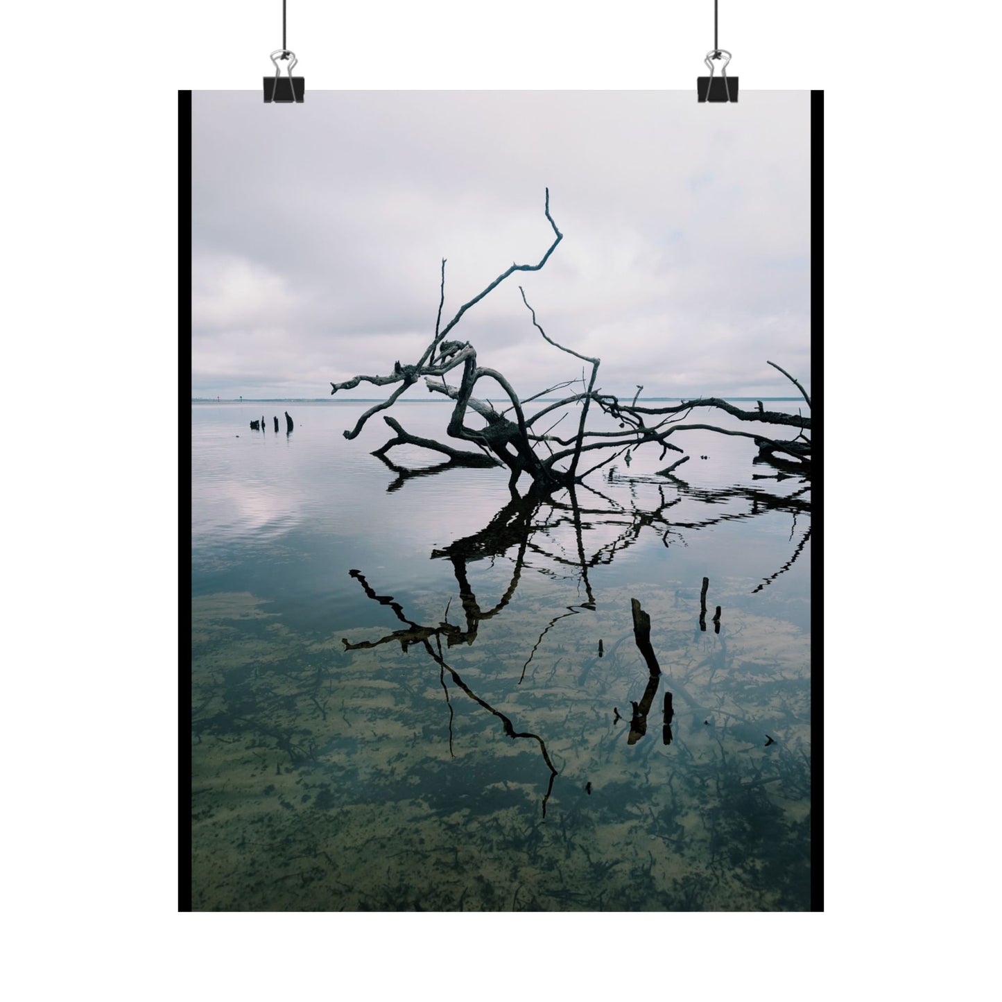 Skeleton branches