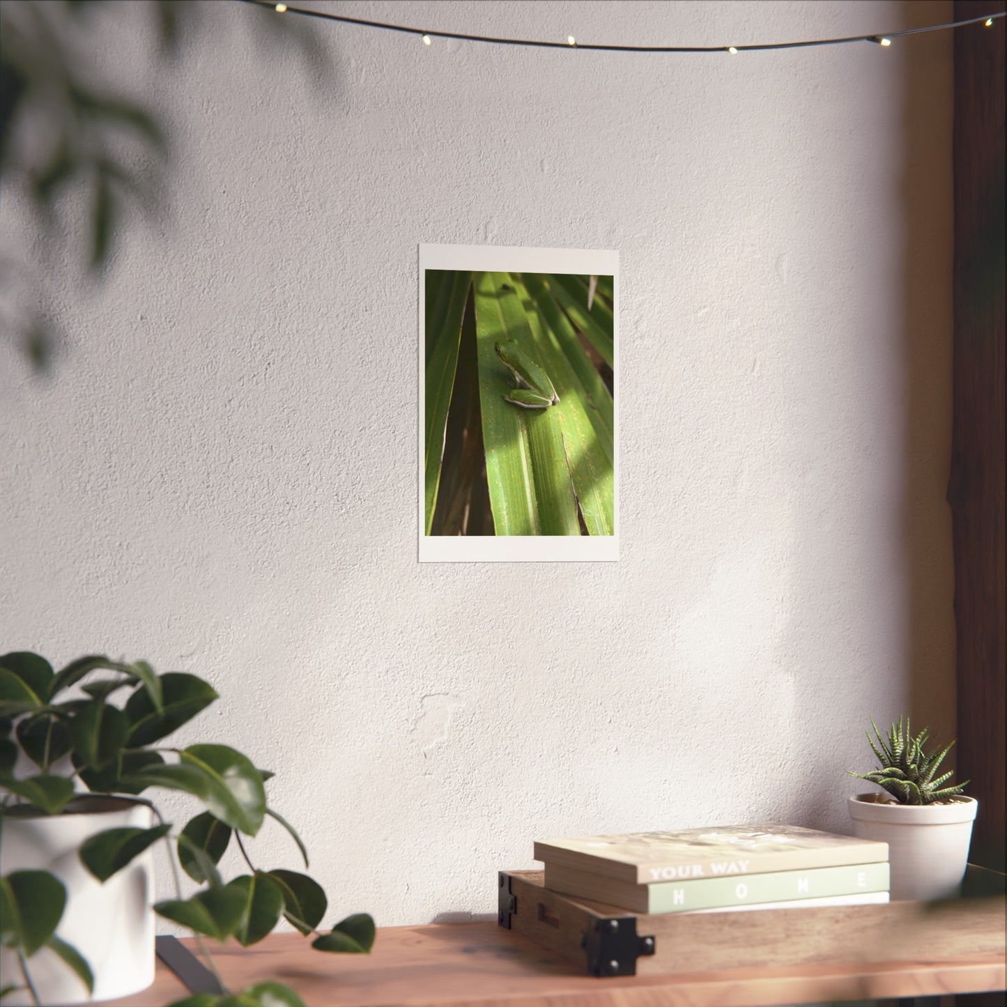 Florida green tree frog matte print