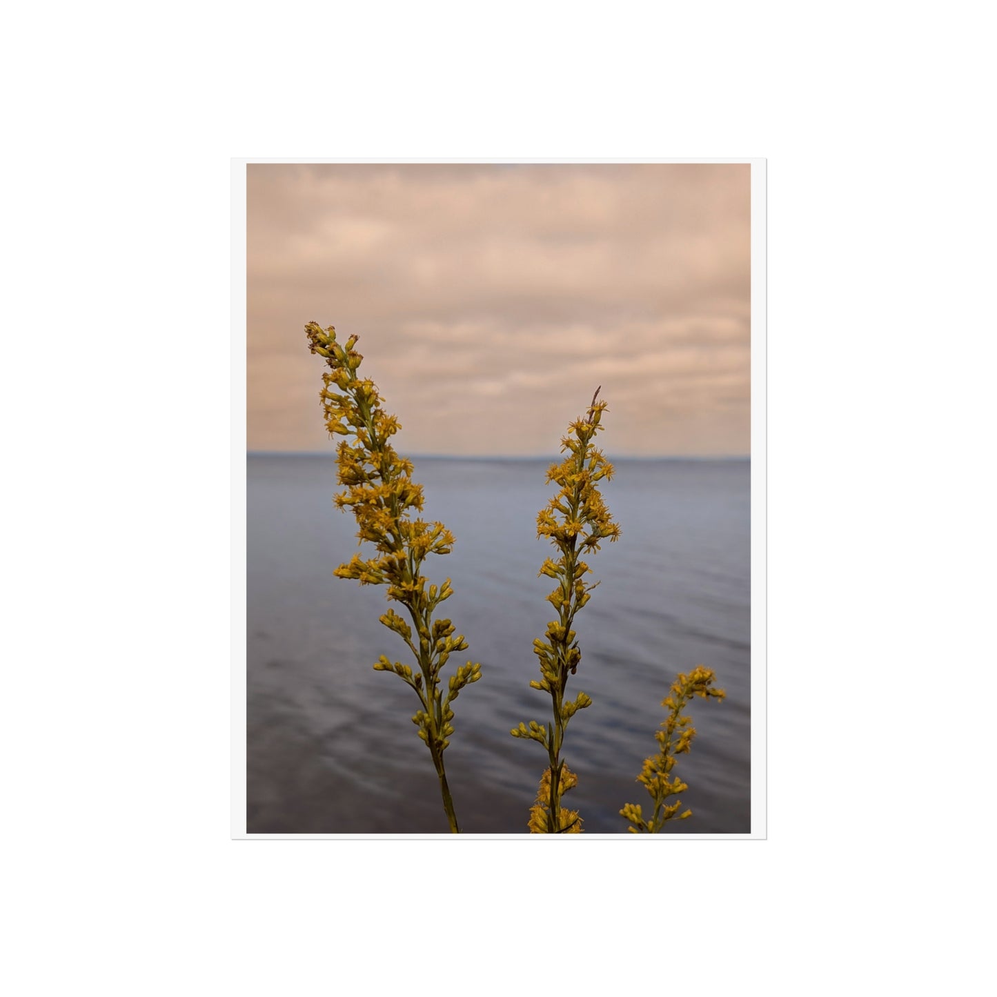 Flowers over the sea print matte finish