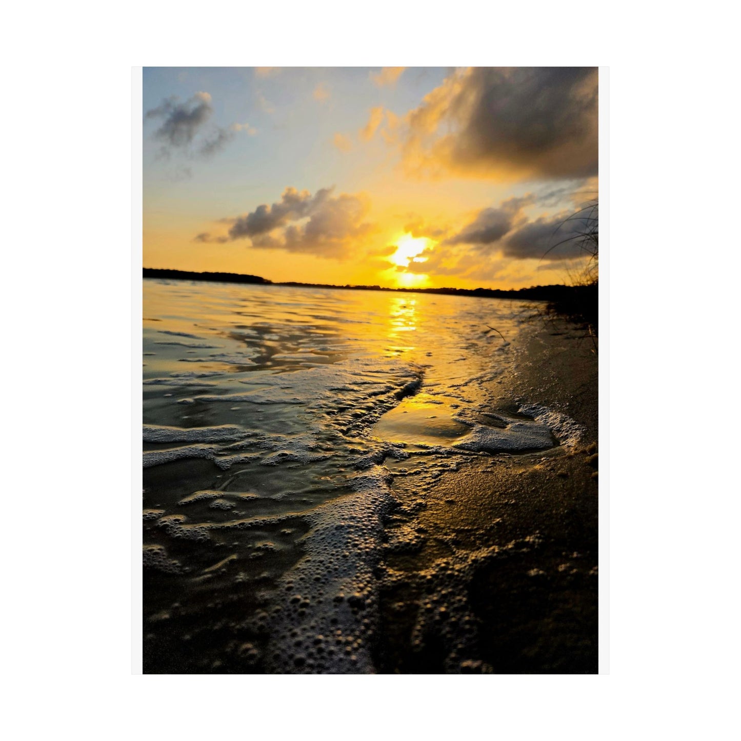 Bayou Sunset satin print