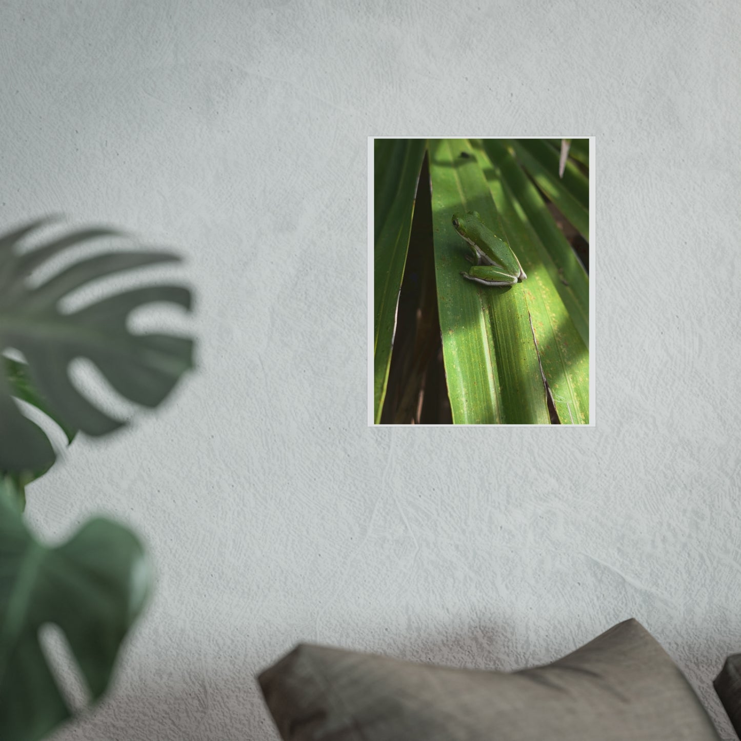 Florida green tree frog matte print