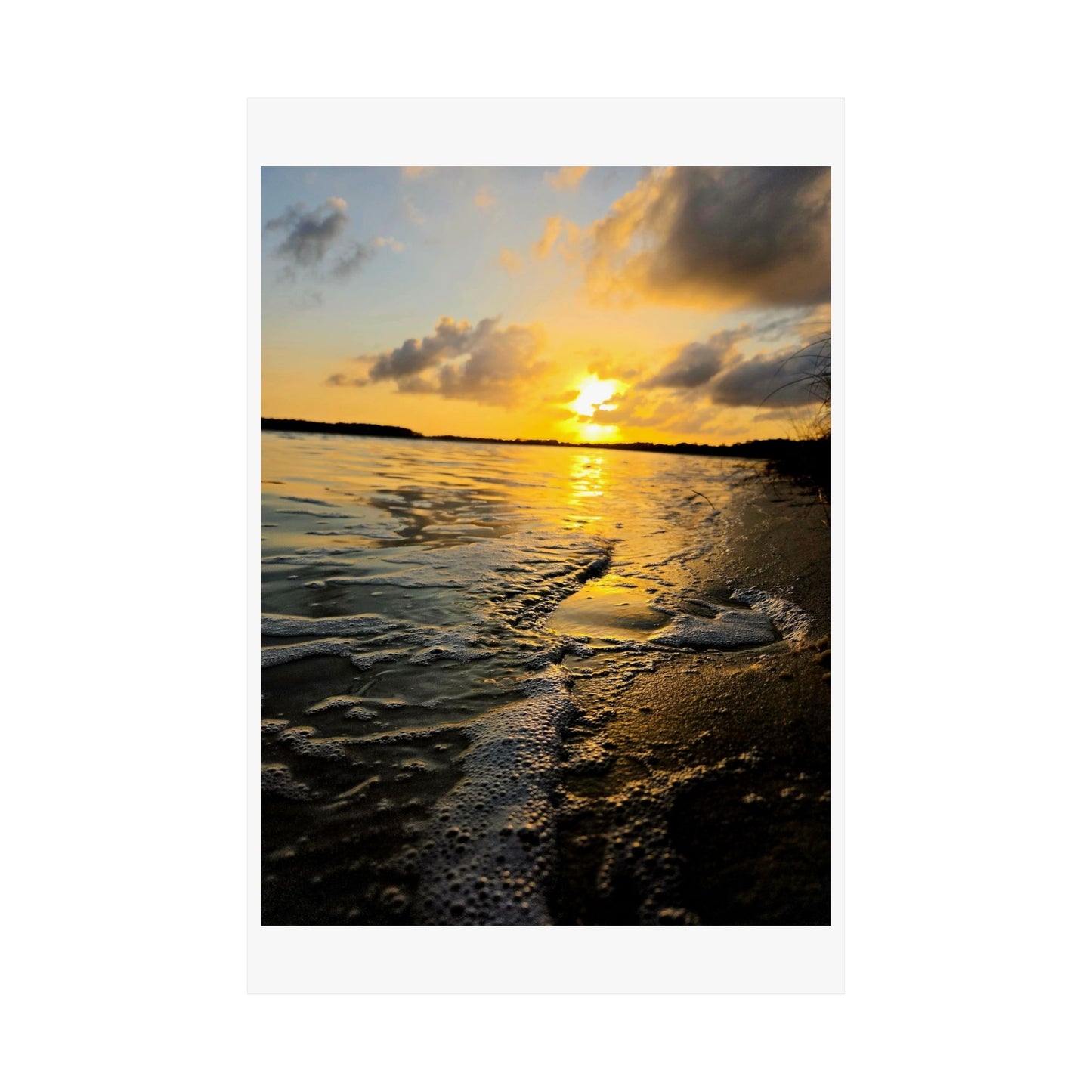 Bayou Sunset satin print