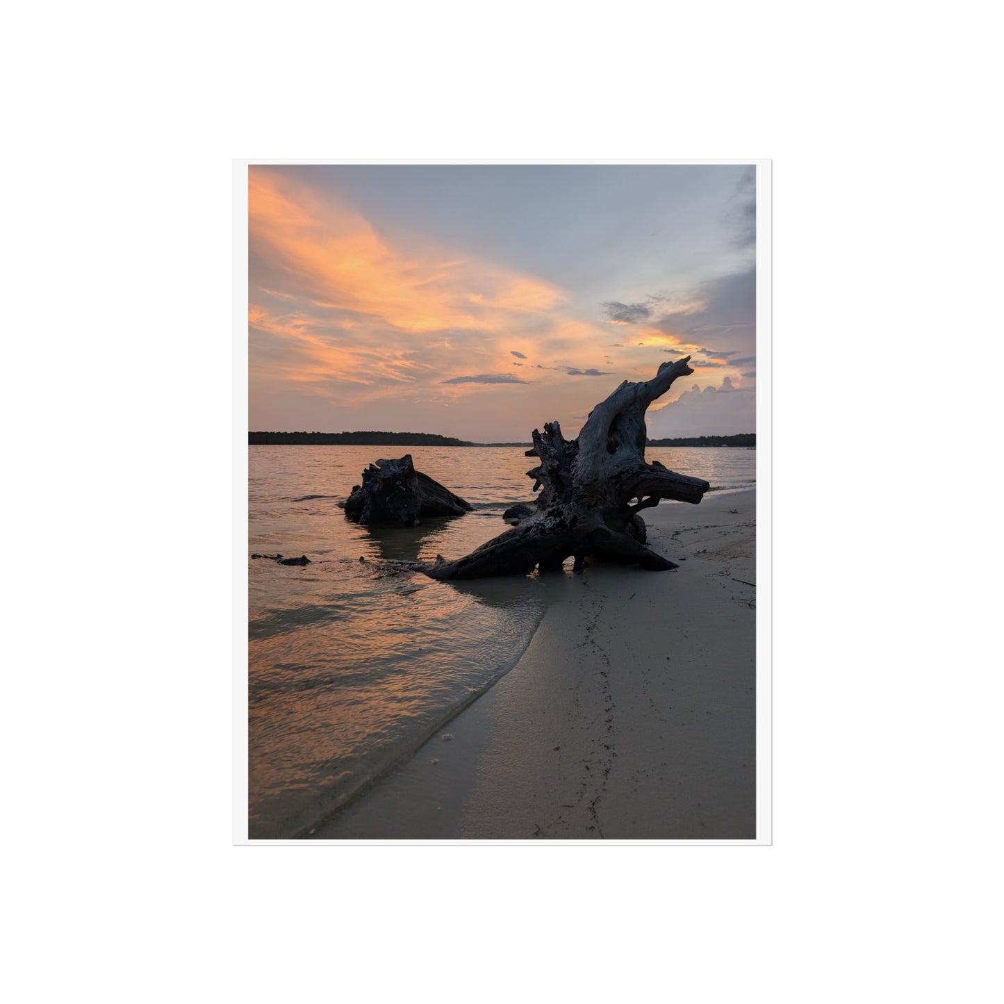 Evening Driftwood print matte finish