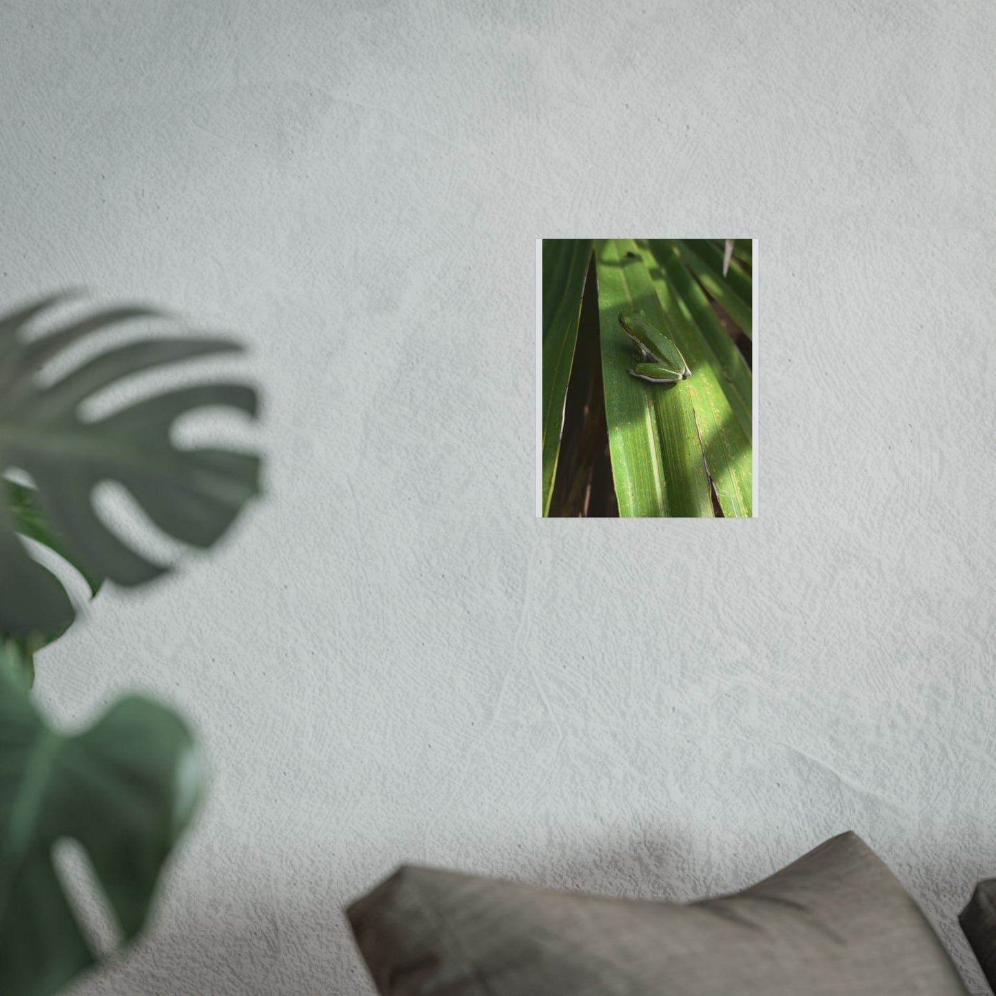 Florida green tree frog matte print