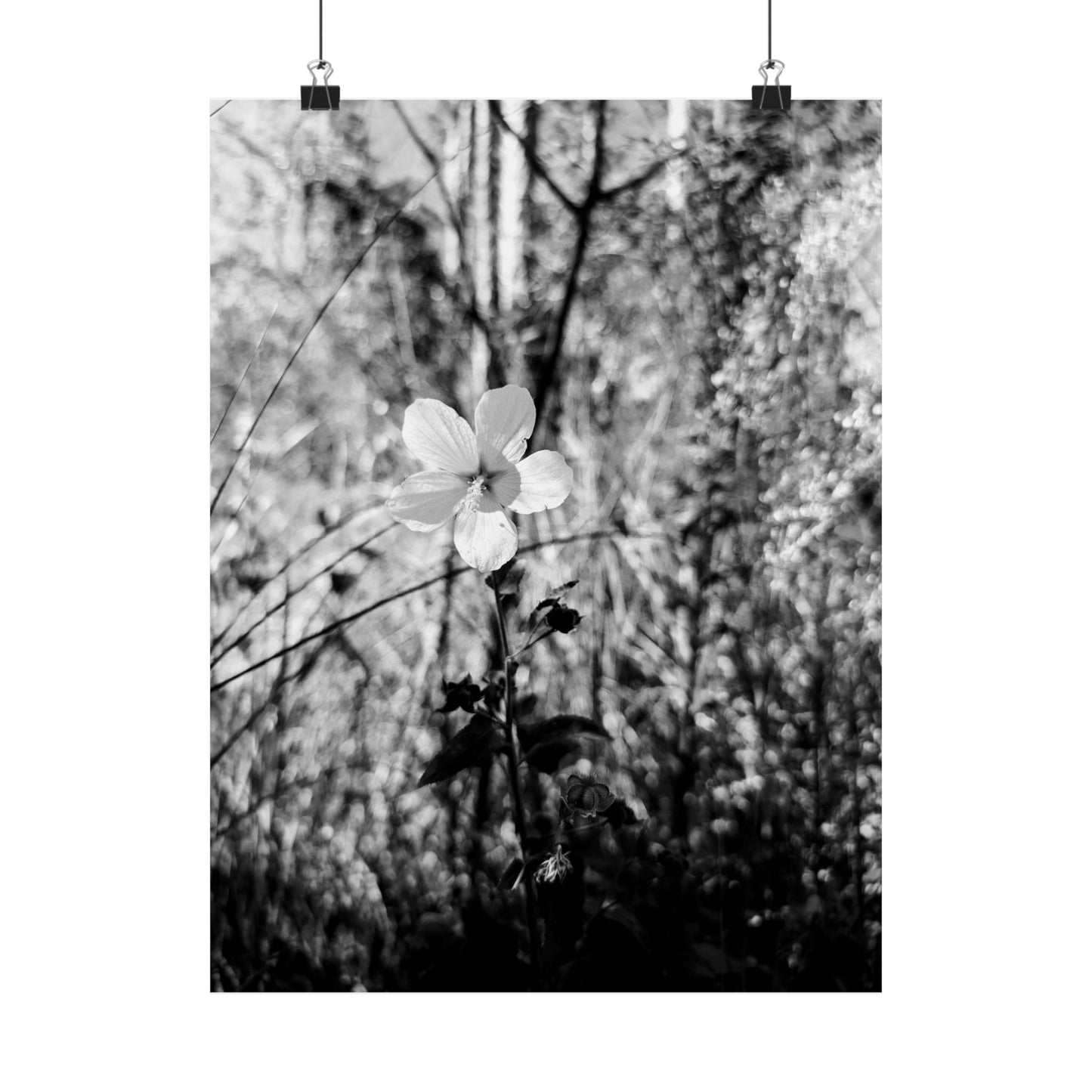 Black and White floral print