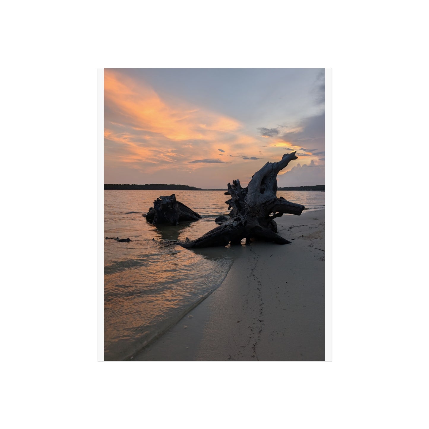 Evening Driftwood print matte finish