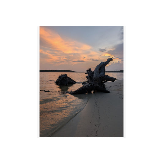 Evening Driftwood print matte finish