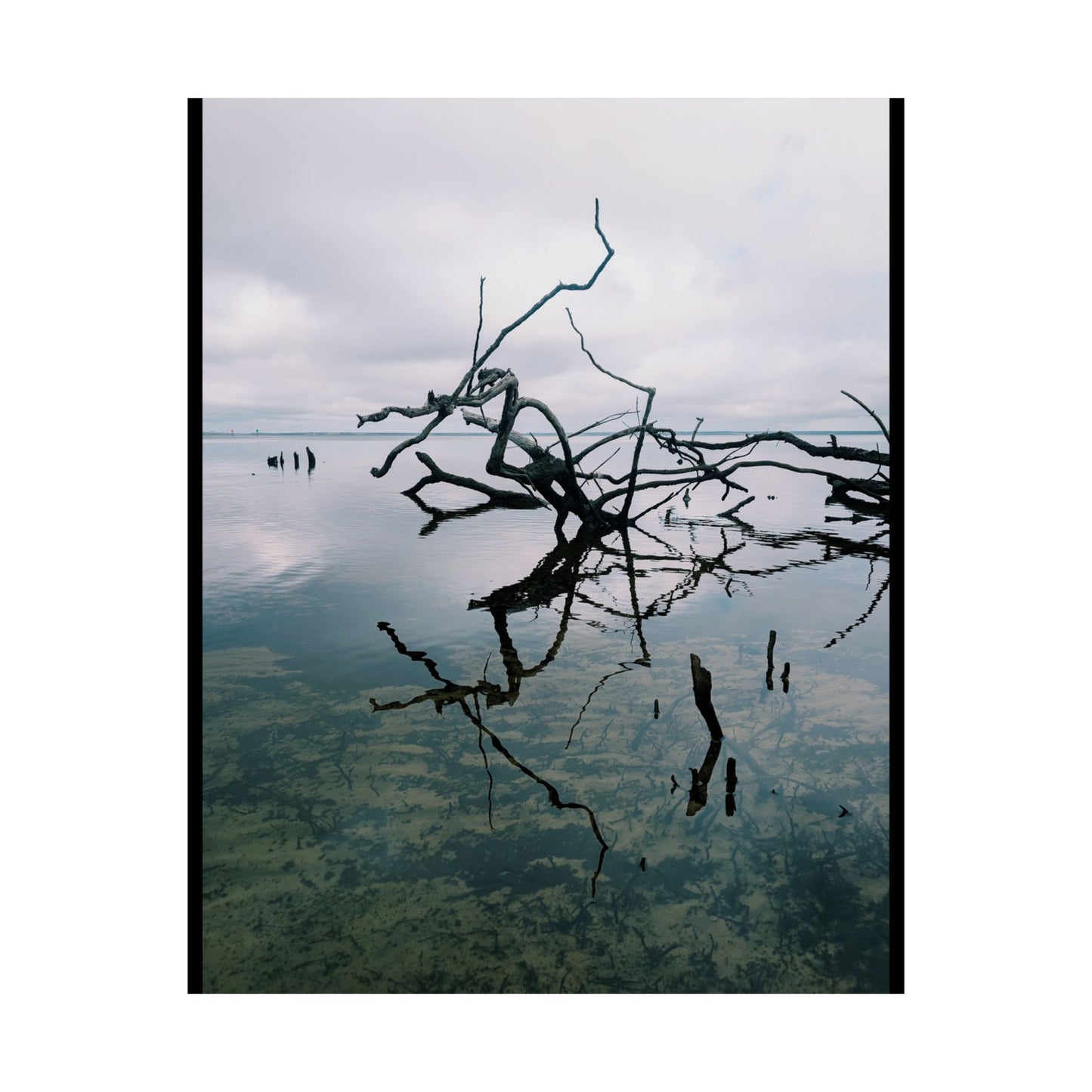 Skeleton branches