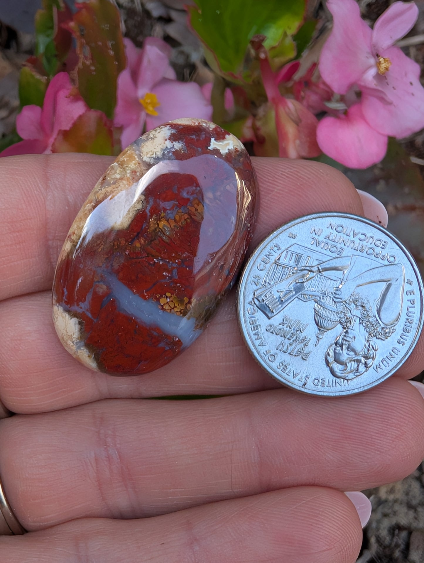 Plume agate cabochon. Oval . Red 36mm x 23mm