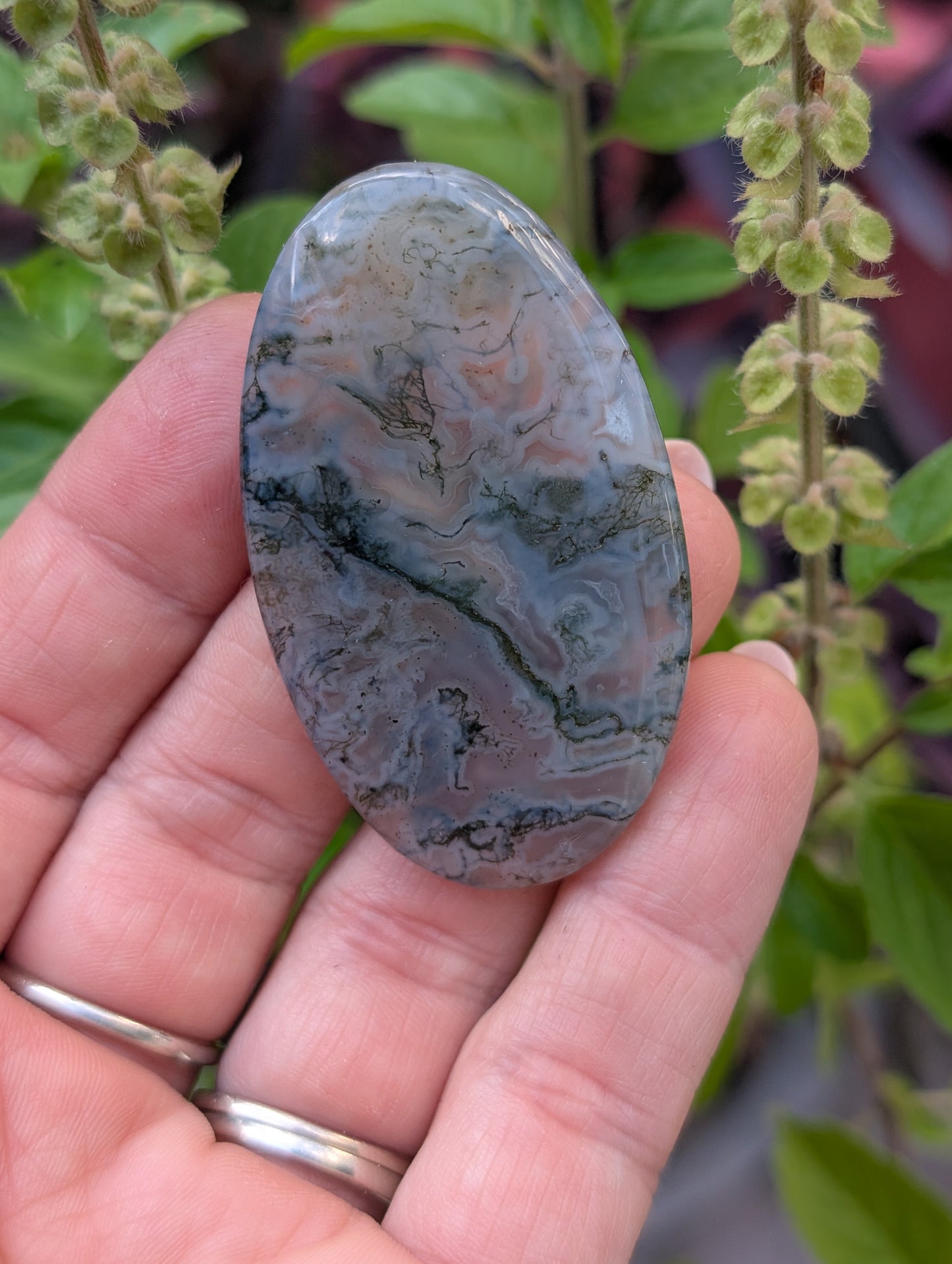 Moss agate cabochon. Large Oval. Green. 53mm x 31mm