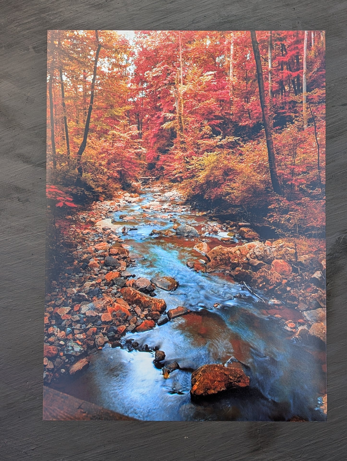 Fall Landscape print. Scenery. Mountain creek. Photography. 11x14 gloss photography print #16
