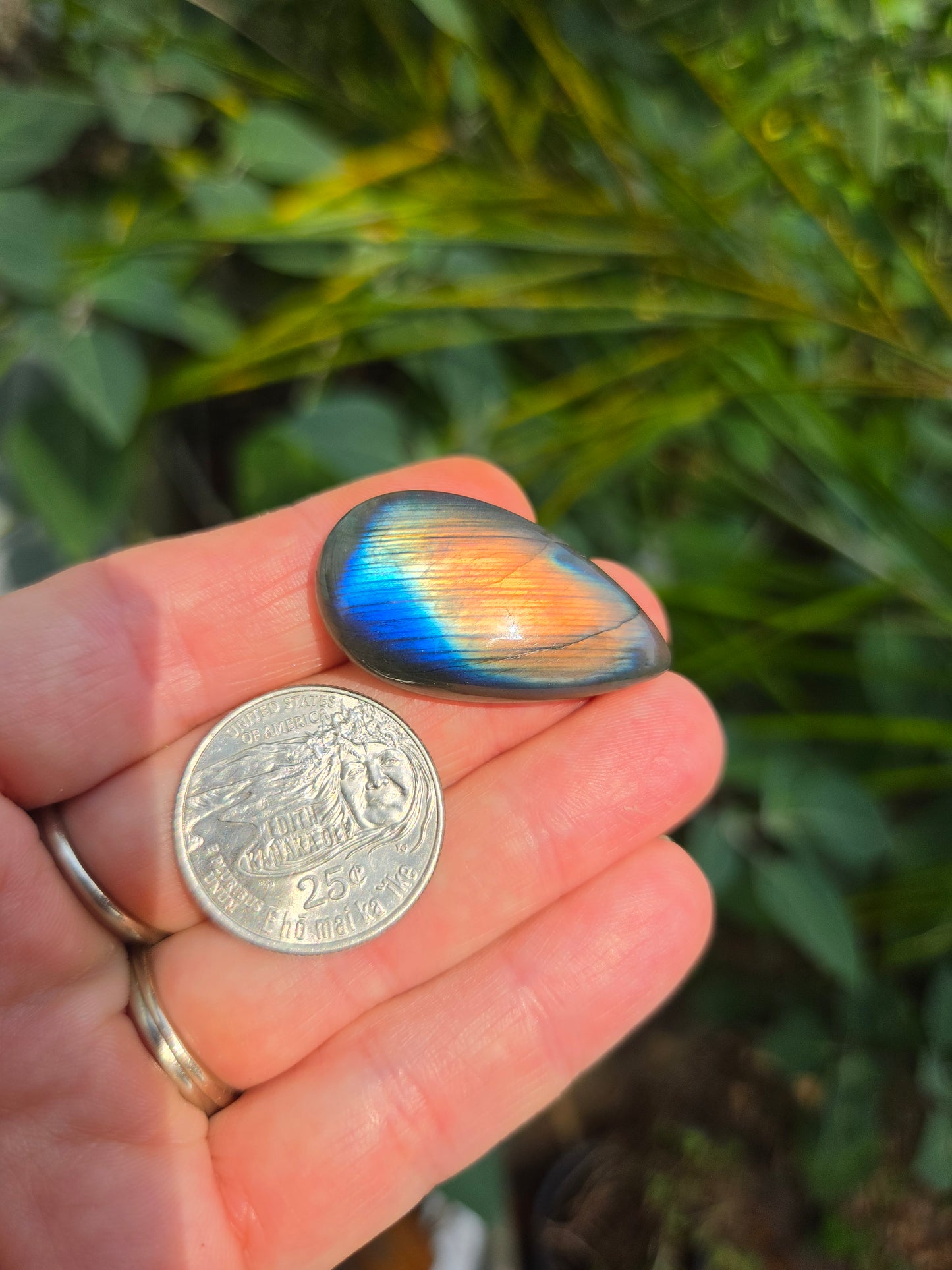 Labradorite Tear drop Cabochon 8g 36mm x 20mm