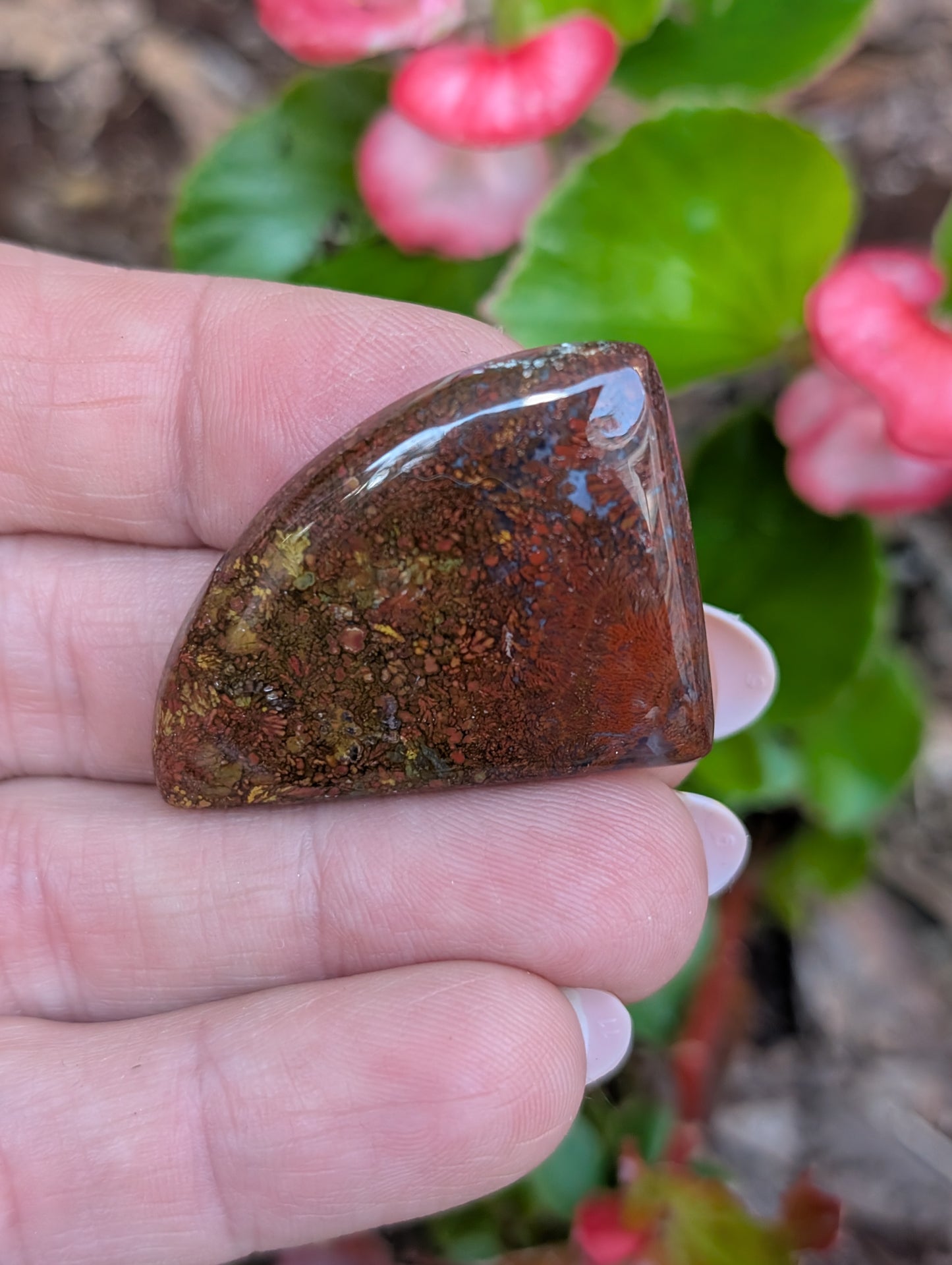 Plume agate cabochon. Freeform. Red 35mm x 25mm