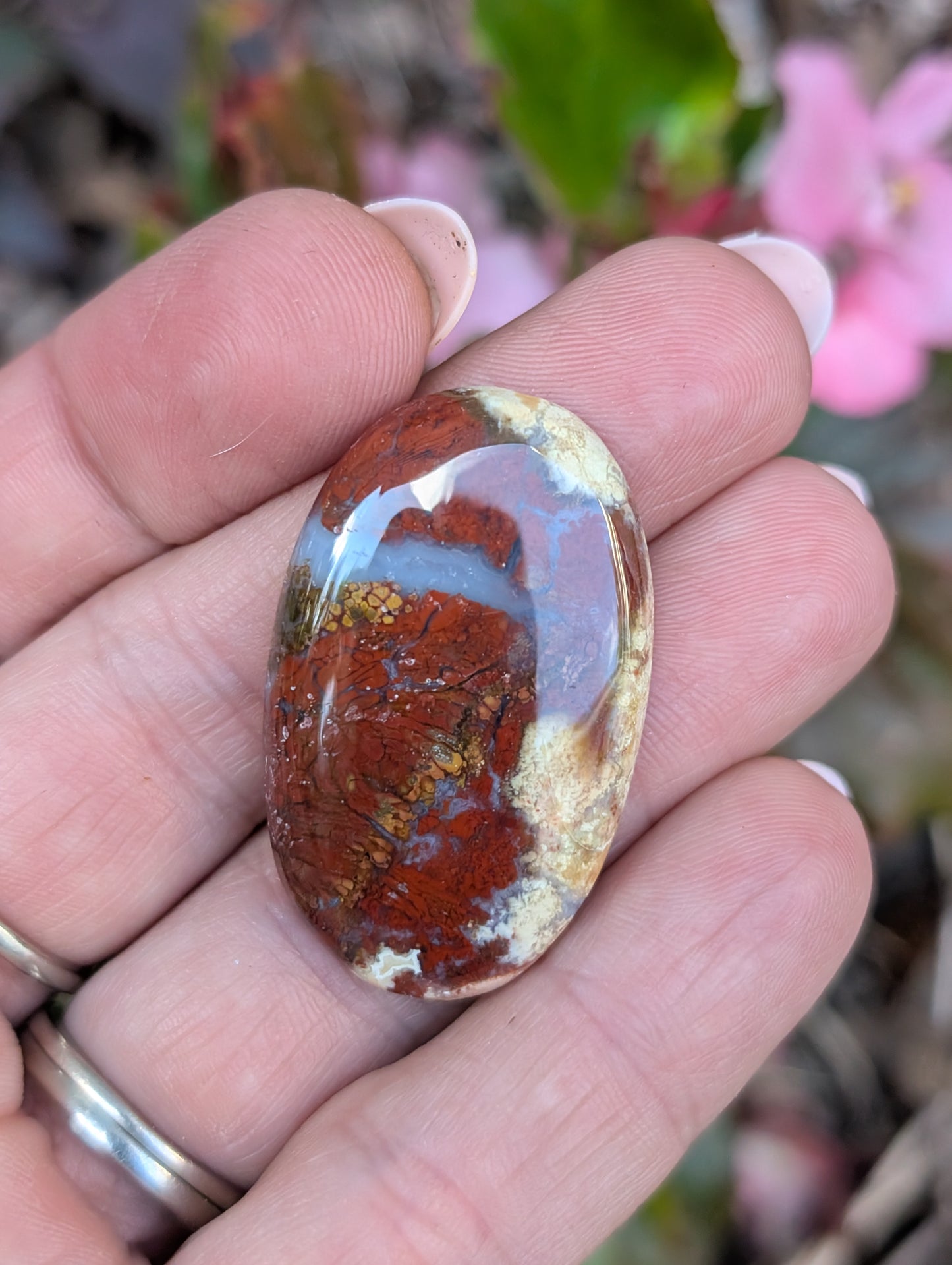 Plume agate cabochon. Oval . Red 36mm x 23mm
