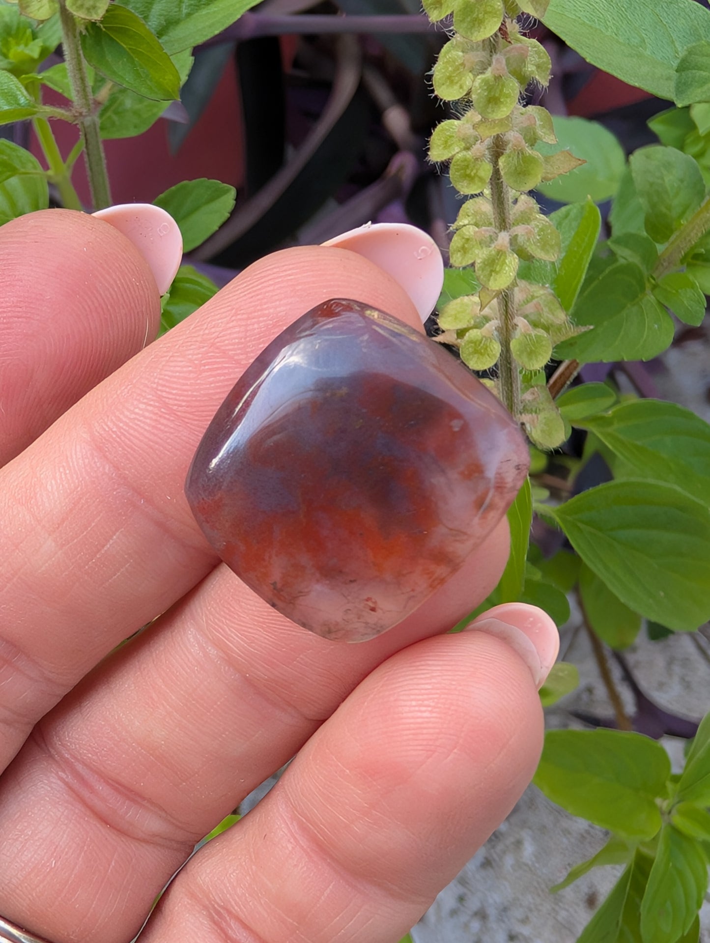 Moss agate cabochon. Square . Red. 21mm x 20mm