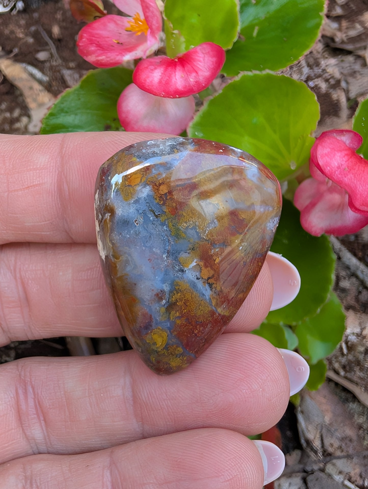 Plume agate cabochon. Tear drop . Red 36mm x 27mm