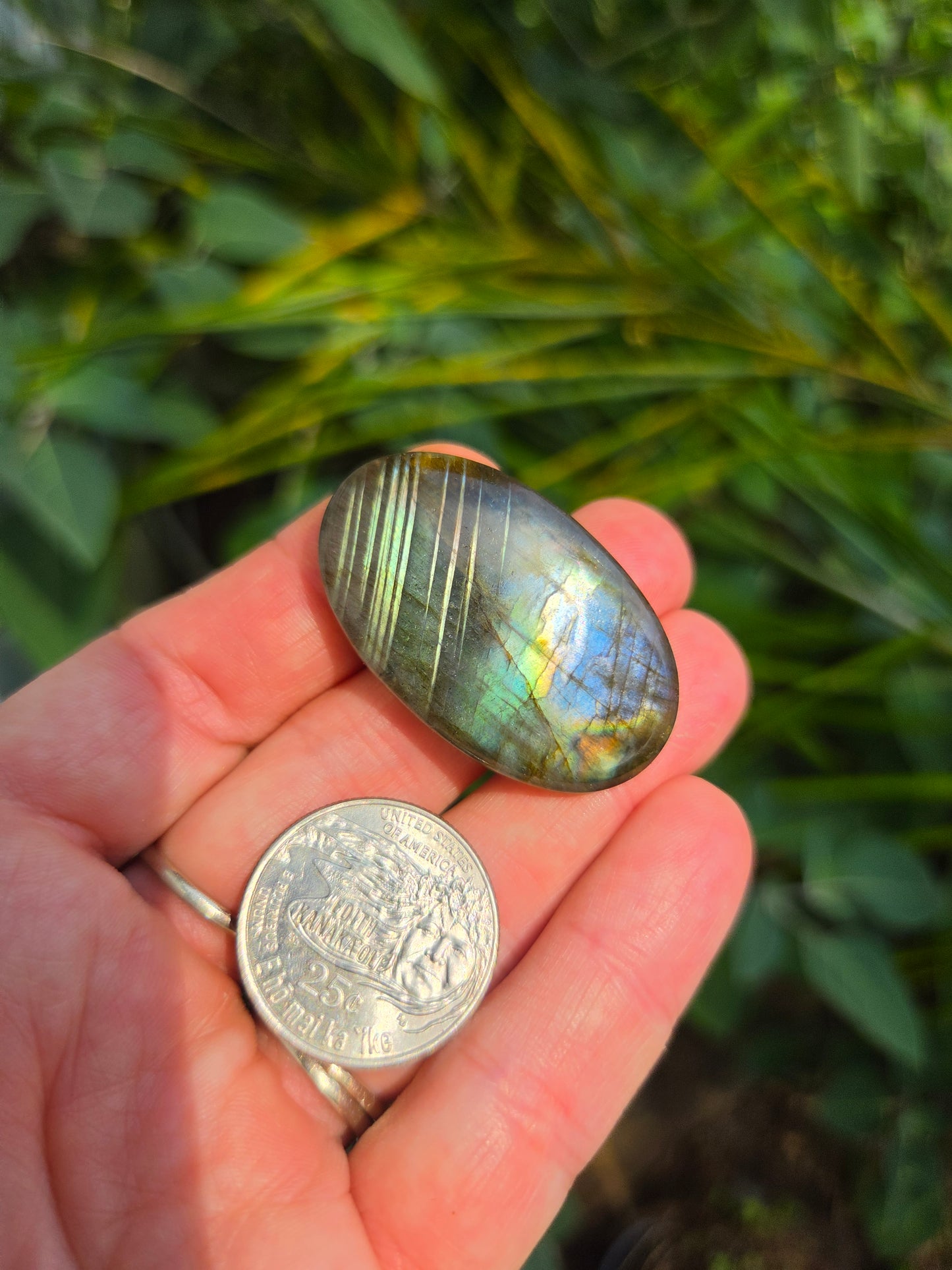 Labradorite Oval Cabochon 12.8g 40mm x 25mm Multi color flash