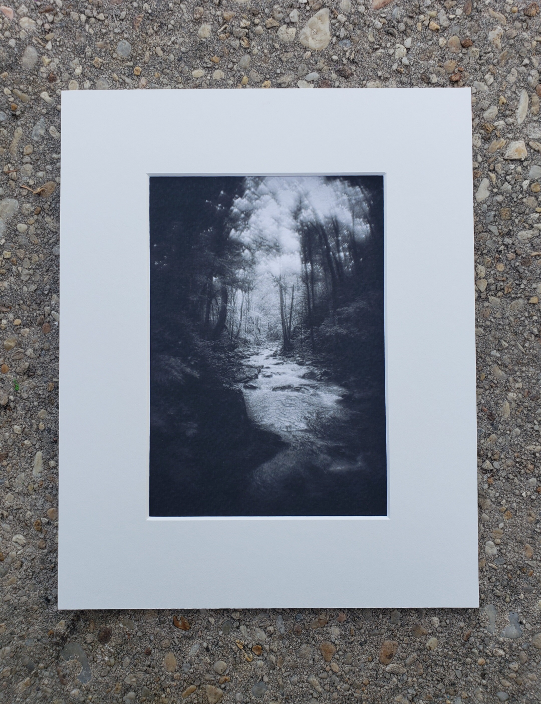 Black and white photography. Dark. Scenery.  Mysterious. Forest. Fog. Print. 5x7, 8x10 matte "Mystic Creek" #8
