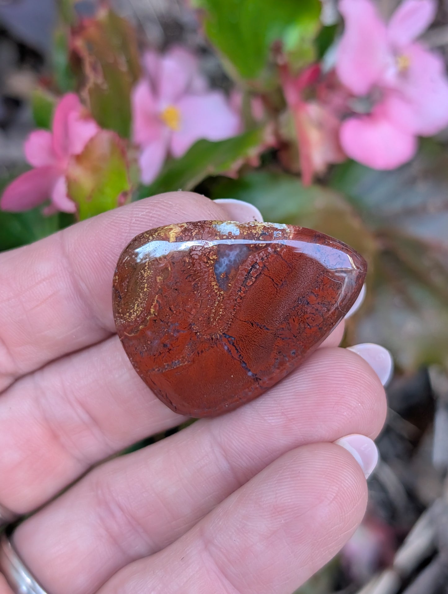 Plume agate cabochon. Tear drop . Red 36mm x 28mm