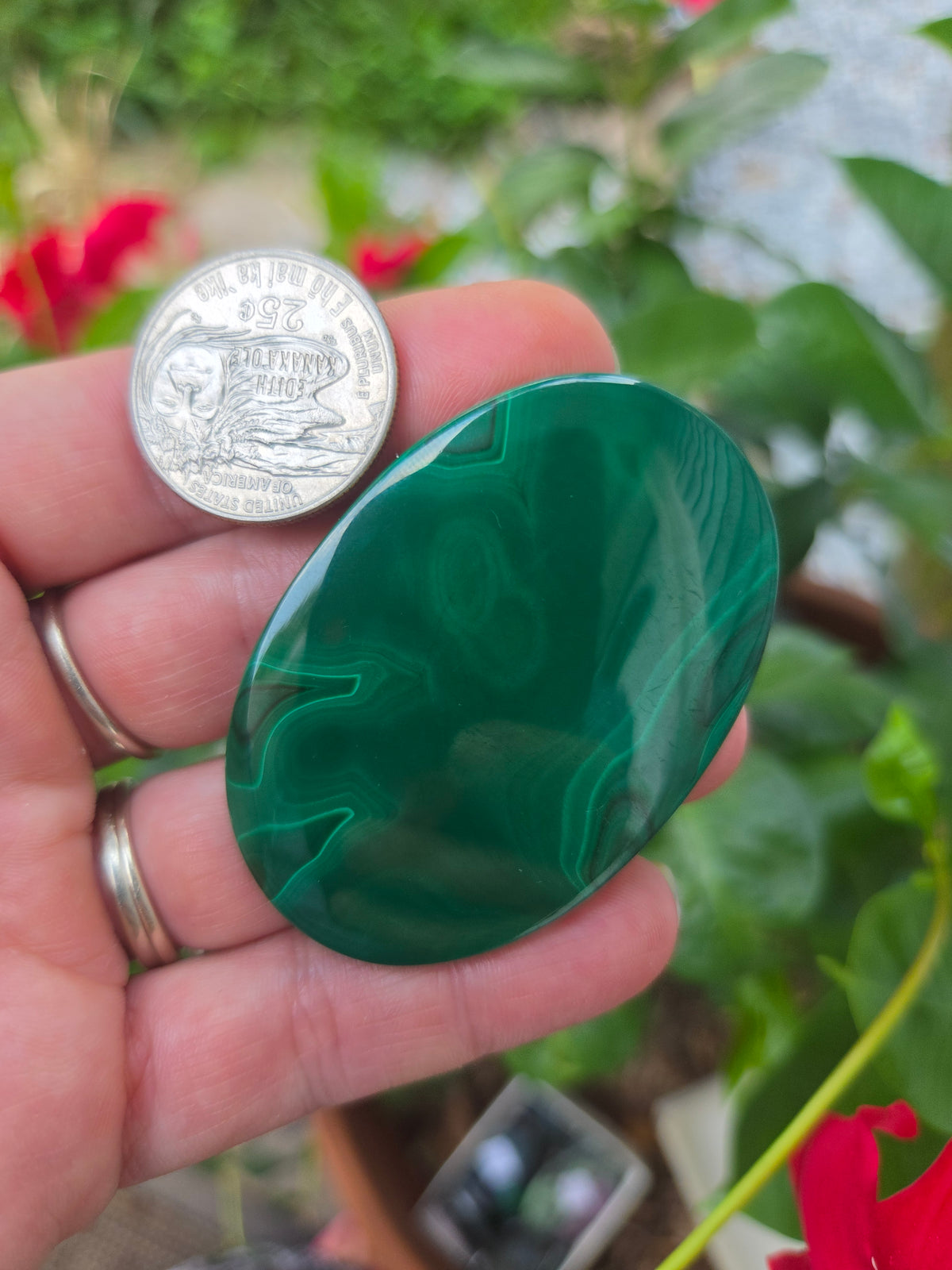 Malachite Oval Cabochon 57mm x 37mm. Large