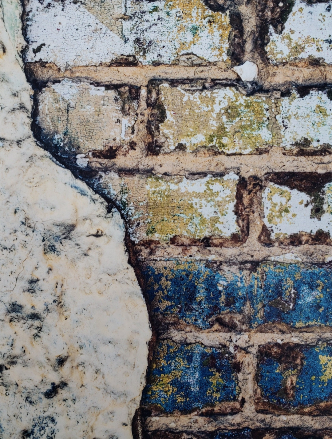 Industrial Brick wall  Photography. 5x7, 8x10 matte  #4