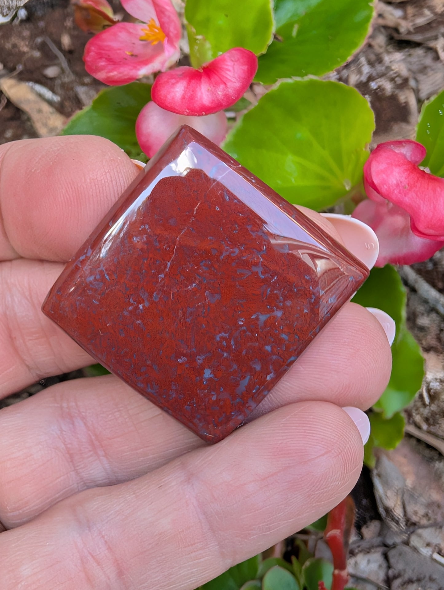 Plume agate cabochon. Square. Red 30mm