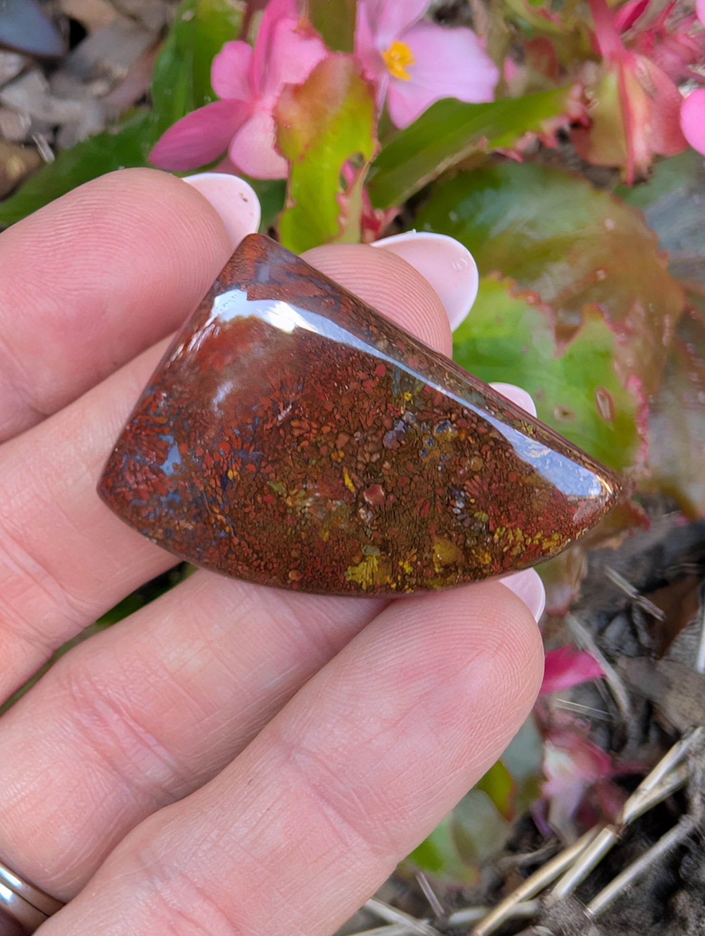 Plume agate cabochon. Freeform. Red 35mm x 25mm
