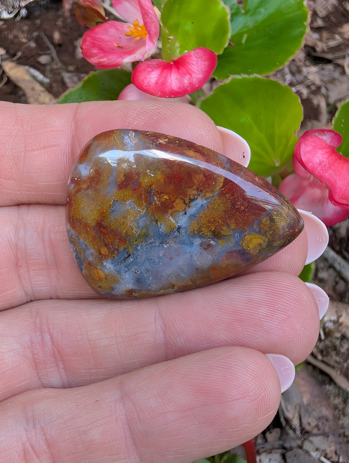 Plume agate cabochon. Tear drop . Red 36mm x 27mm