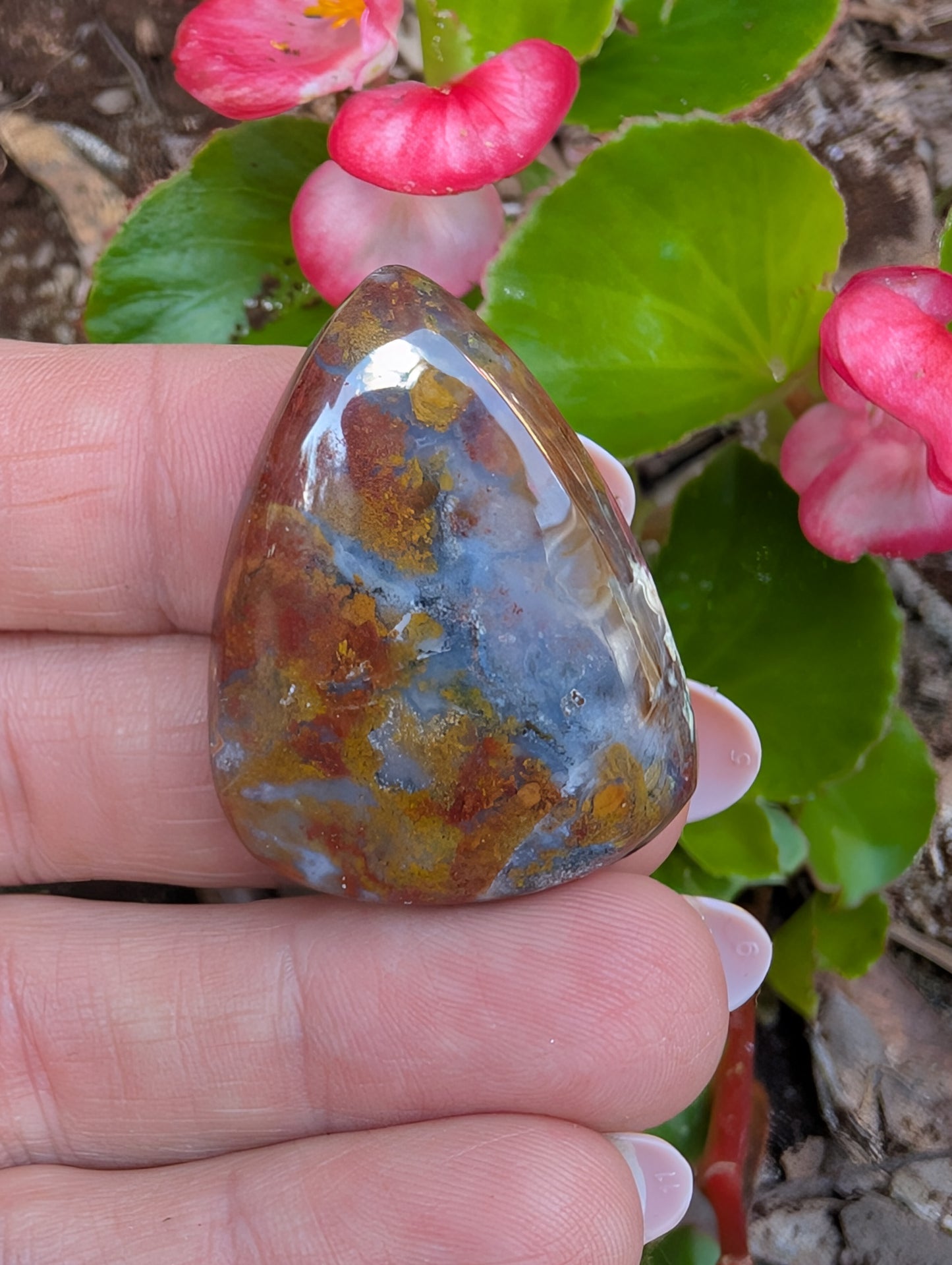 Plume agate cabochon. Tear drop . Red 36mm x 27mm