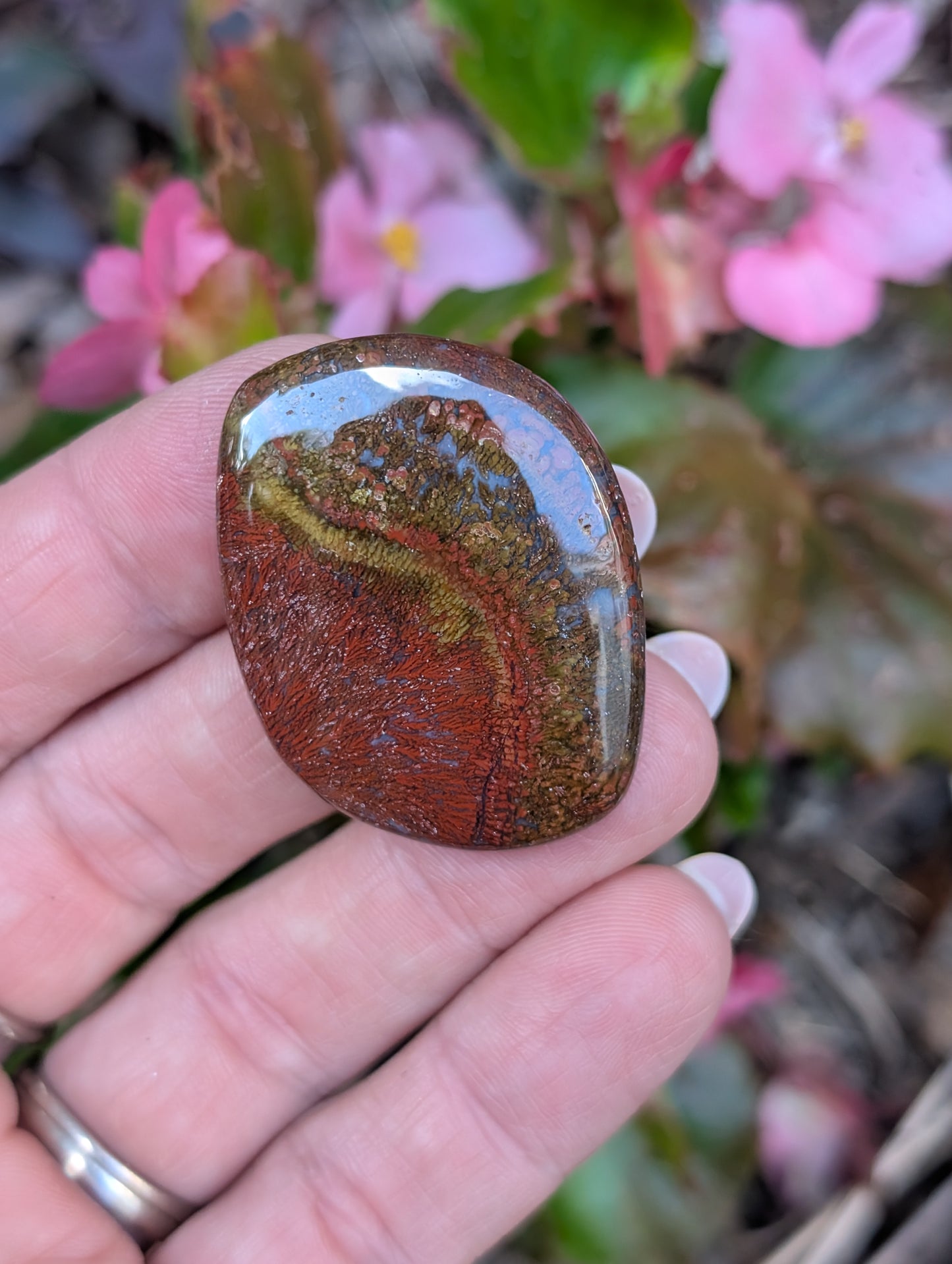 Plume agate cabochon. Freeform. Red 38mm x 30mm