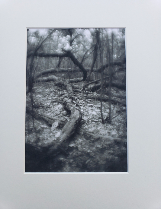 Black and white photography. Dark. Scenery.  Mysterious. Forest. Print. 5x7, 8x10 matte "Stranger Tree" #6