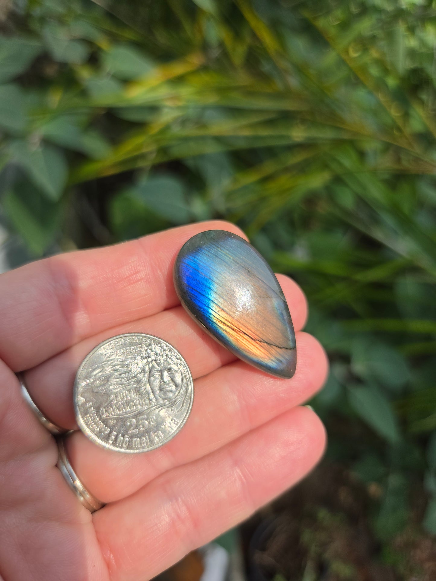 Labradorite Tear drop Cabochon 8g 36mm x 20mm