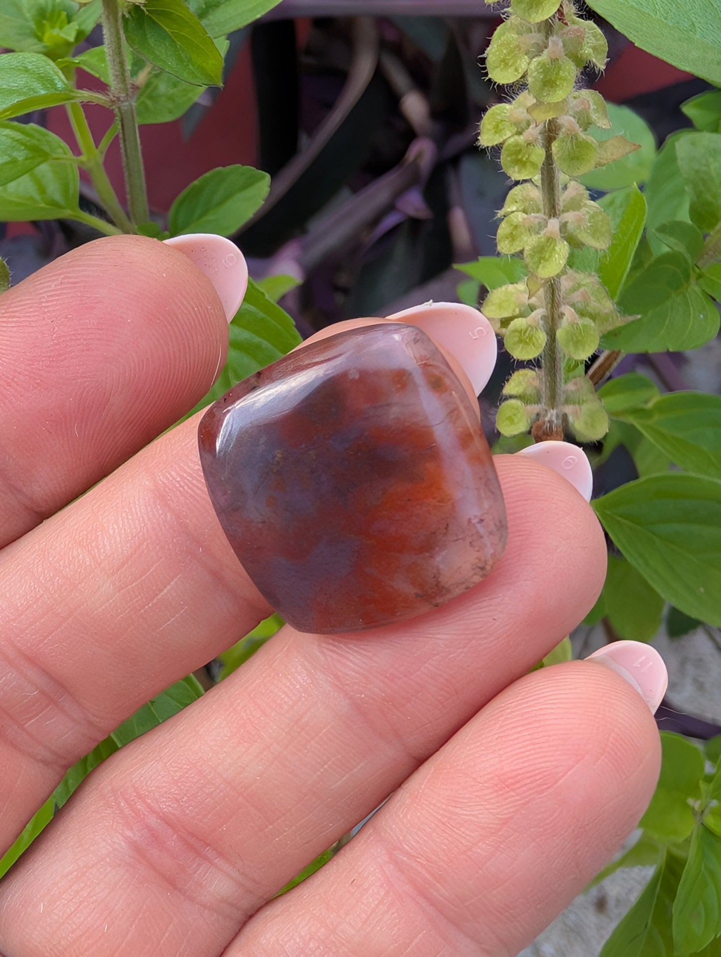 Moss agate cabochon. Square . Red. 21mm x 20mm