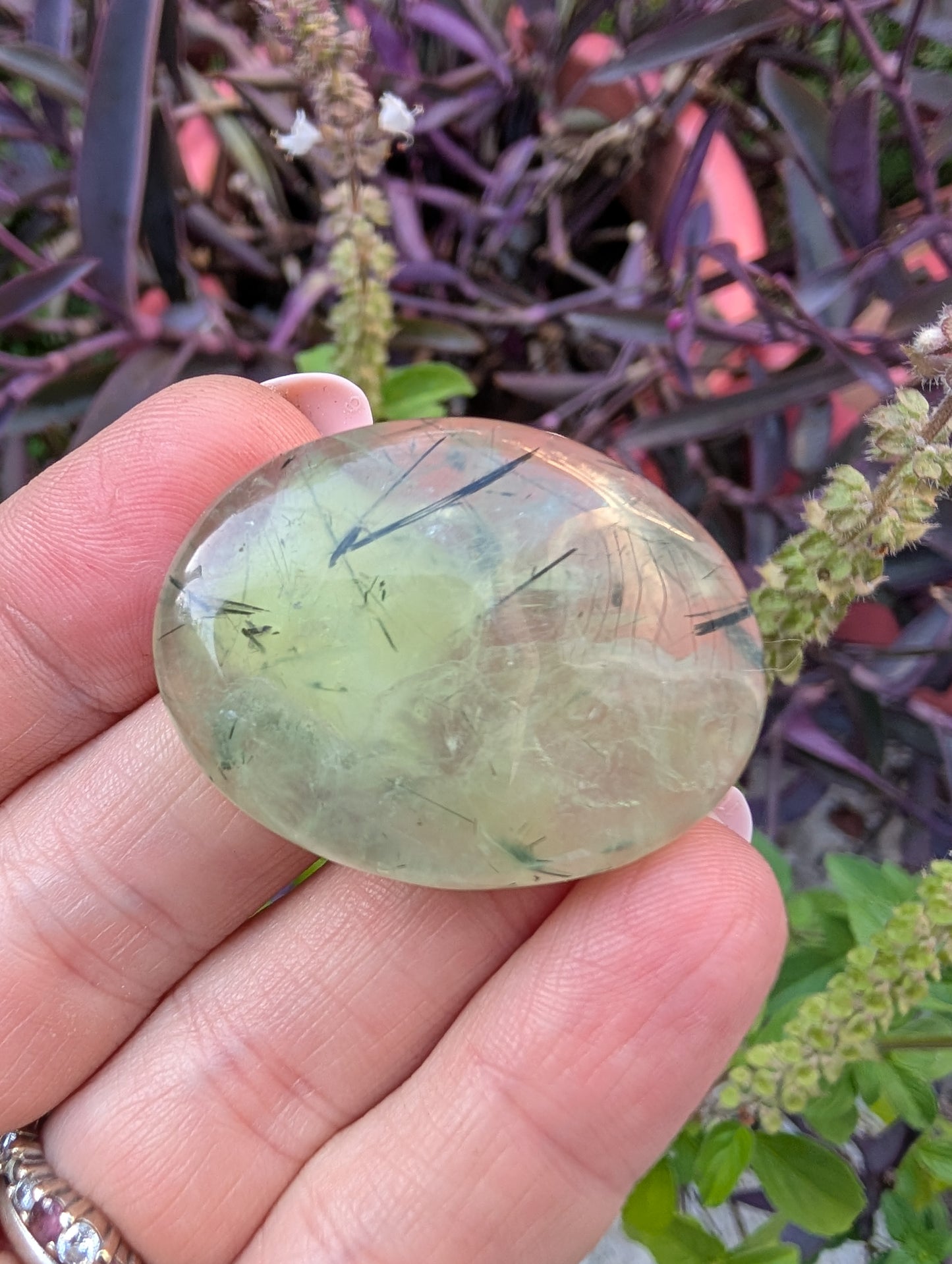 Phrenite cabochon. Oval . Green 38mm x 29mm