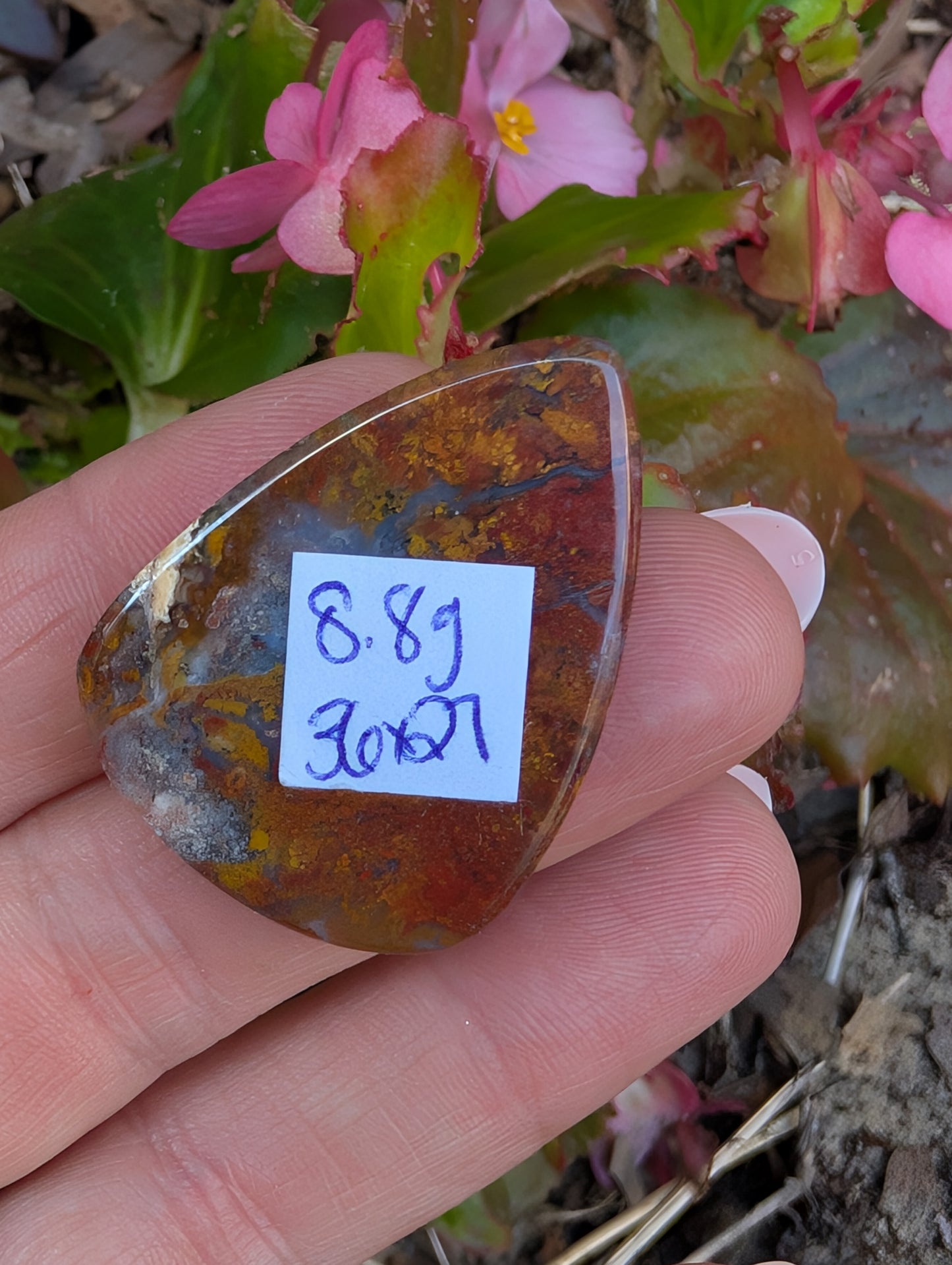 Plume agate cabochon. Tear drop . Red 36mm x 27mm