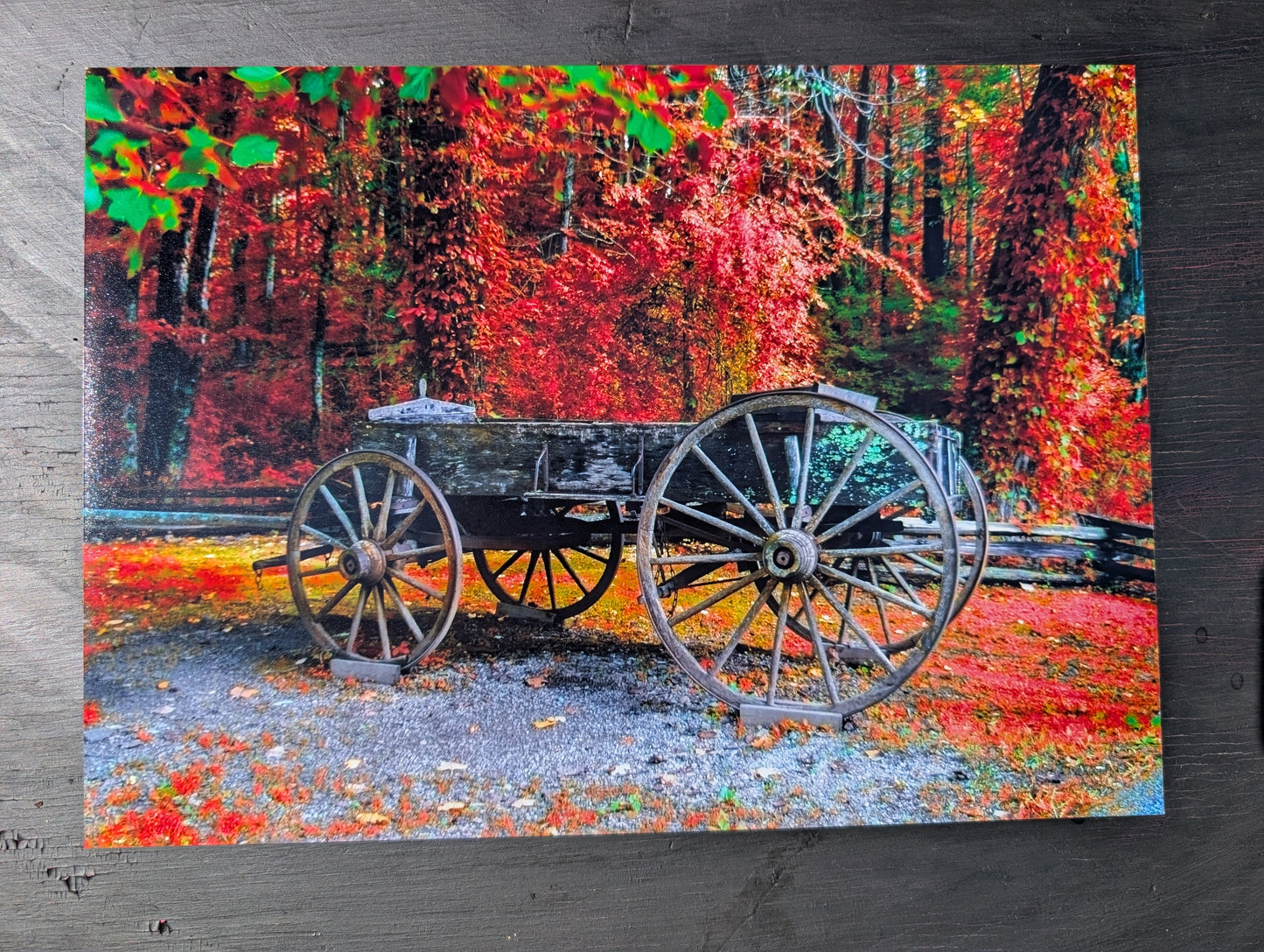 Fall Landscape print. Scenery. Wagon. Photography. 11x14 gloss photography print #14