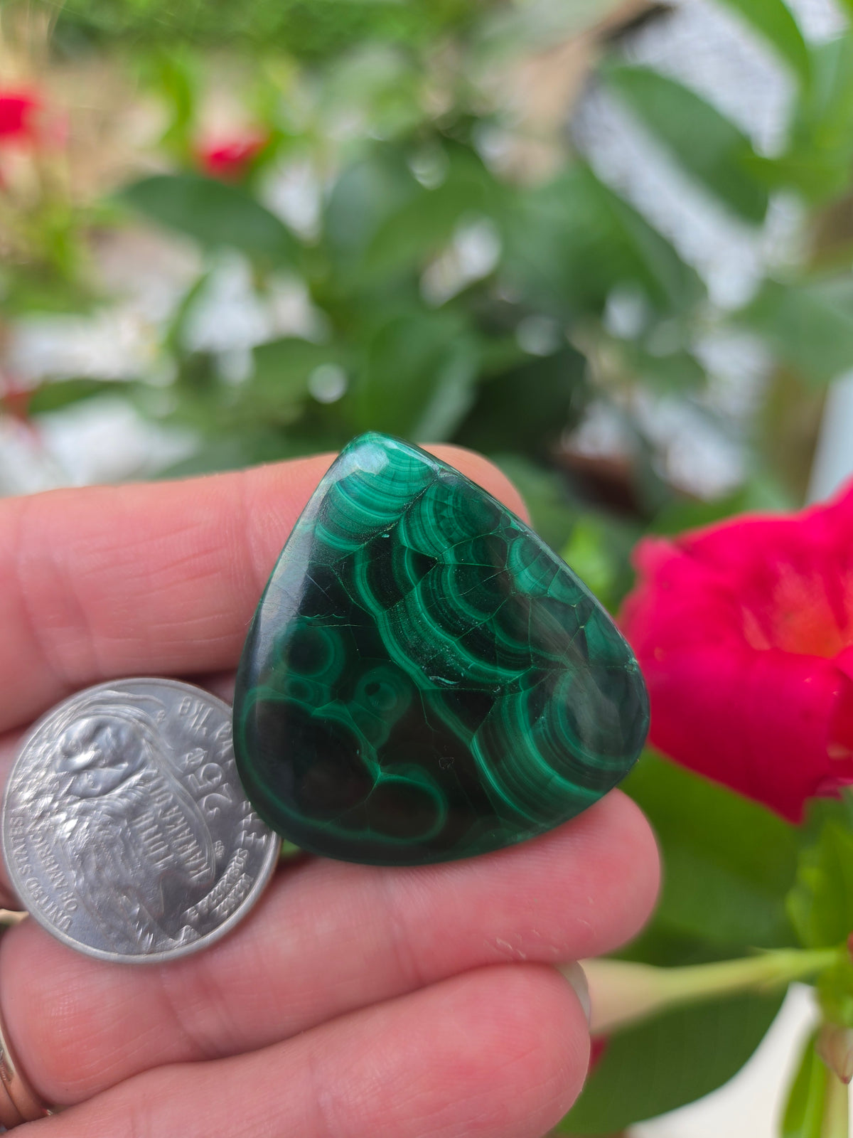Malachite Tear Drop cabochon 35mm x 34mm