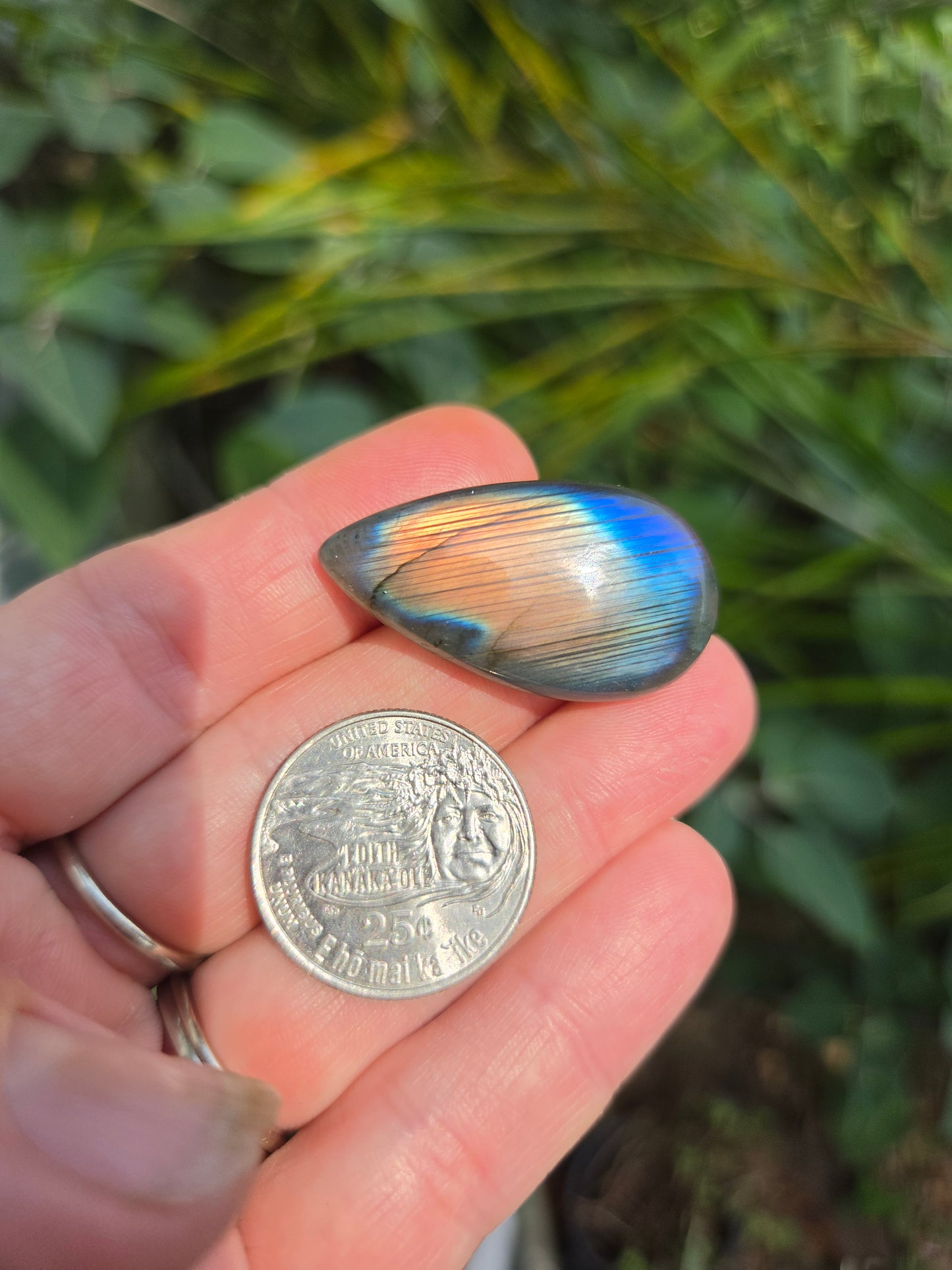 Labradorite Tear drop Cabochon 8g 36mm x 20mm