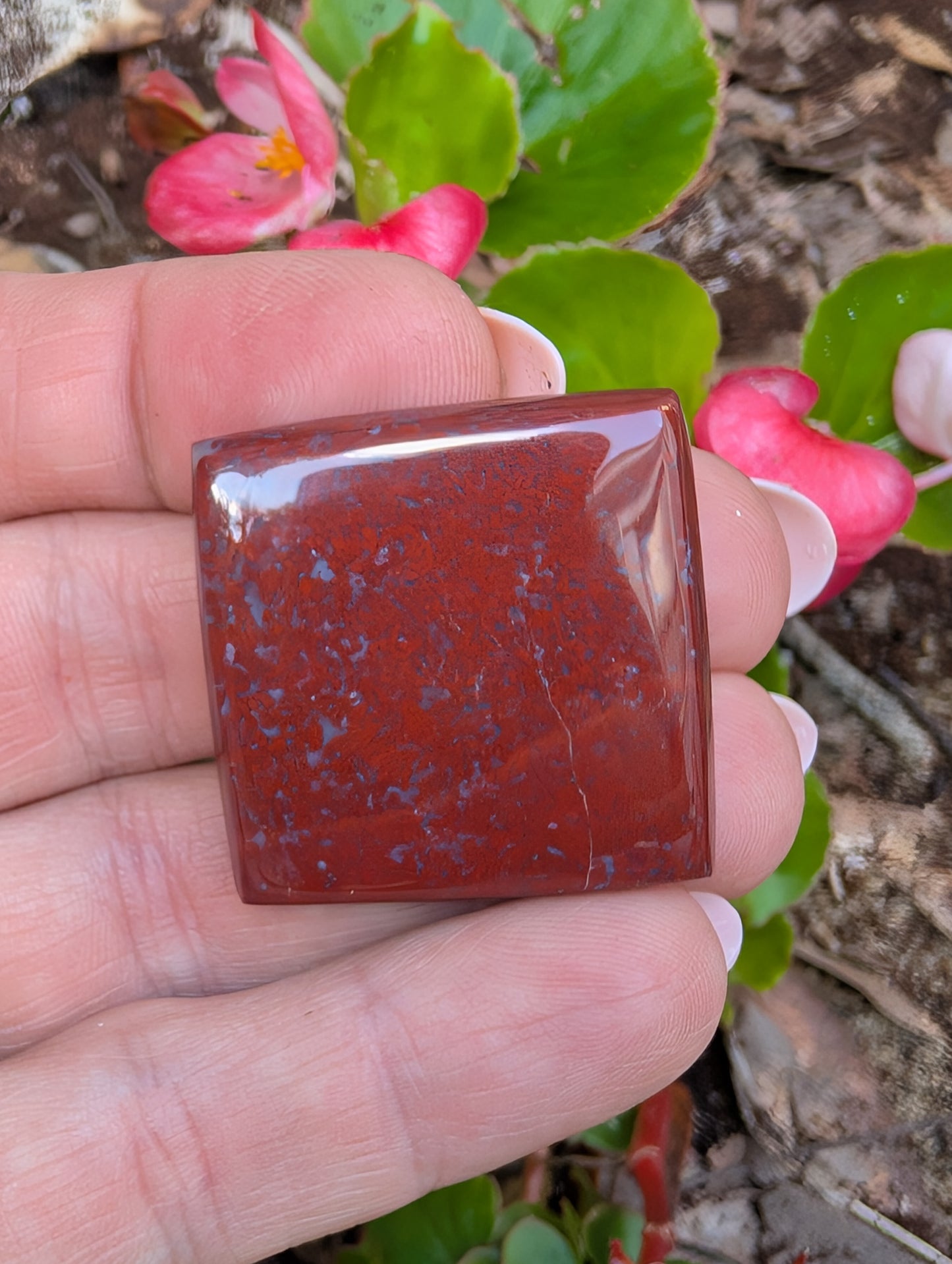Plume agate cabochon. Square. Red 30mm