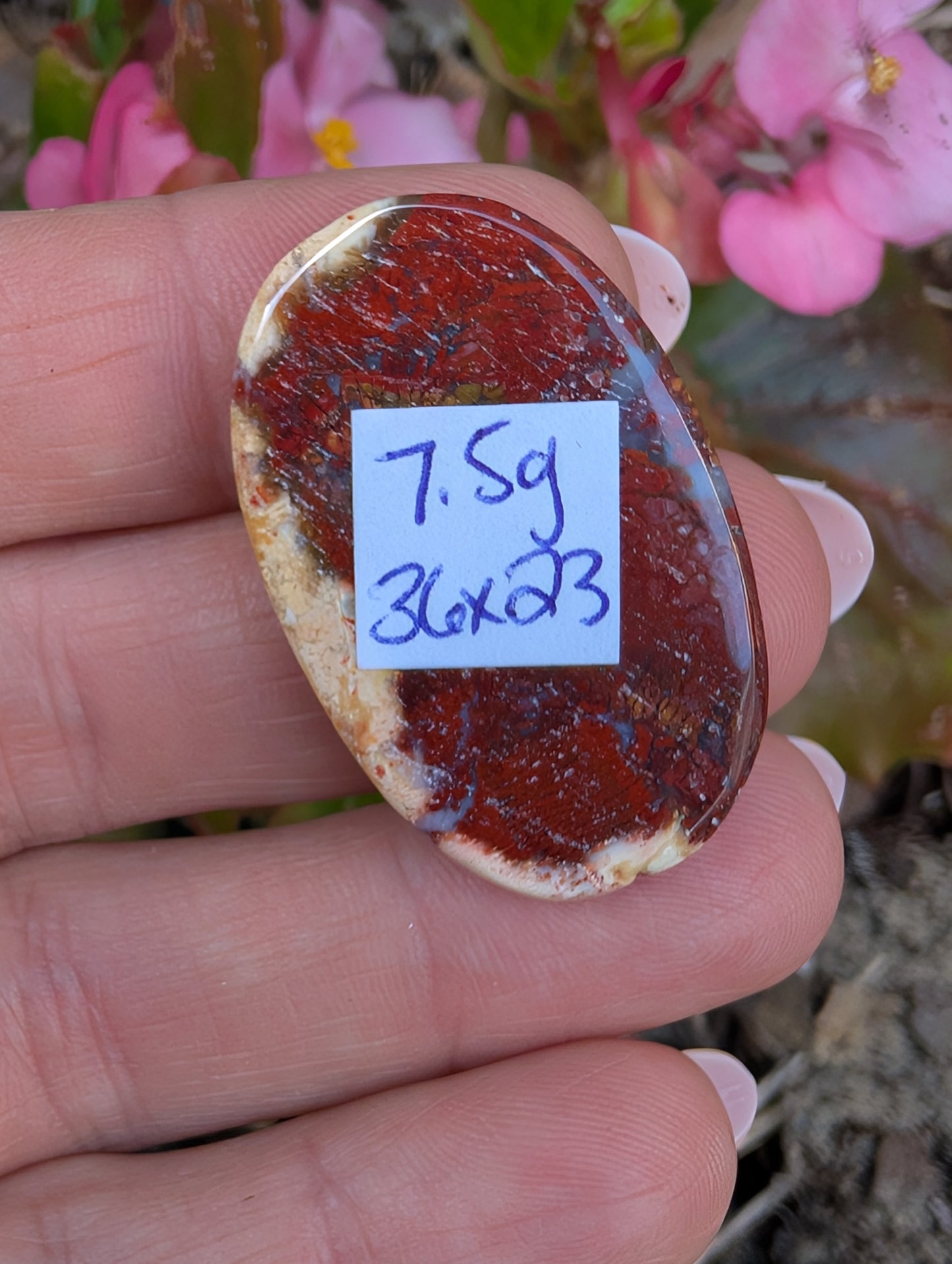 Plume agate cabochon. Oval . Red 36mm x 23mm